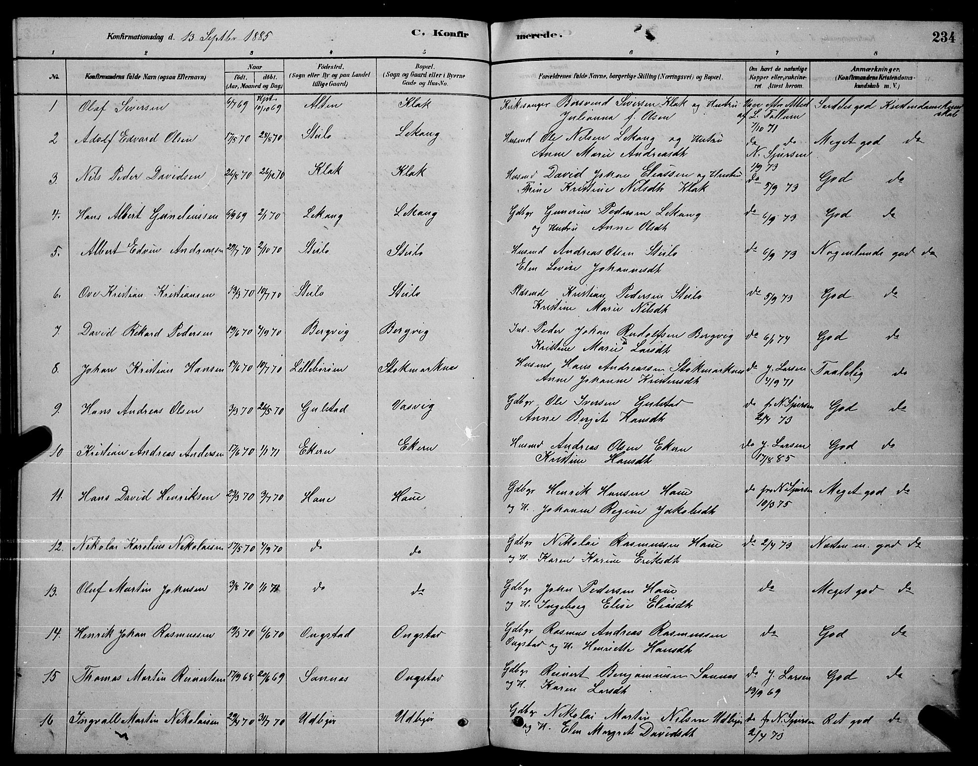 Ministerialprotokoller, klokkerbøker og fødselsregistre - Nordland, AV/SAT-A-1459/888/L1267: Parish register (copy) no. 888C05, 1878-1890, p. 234