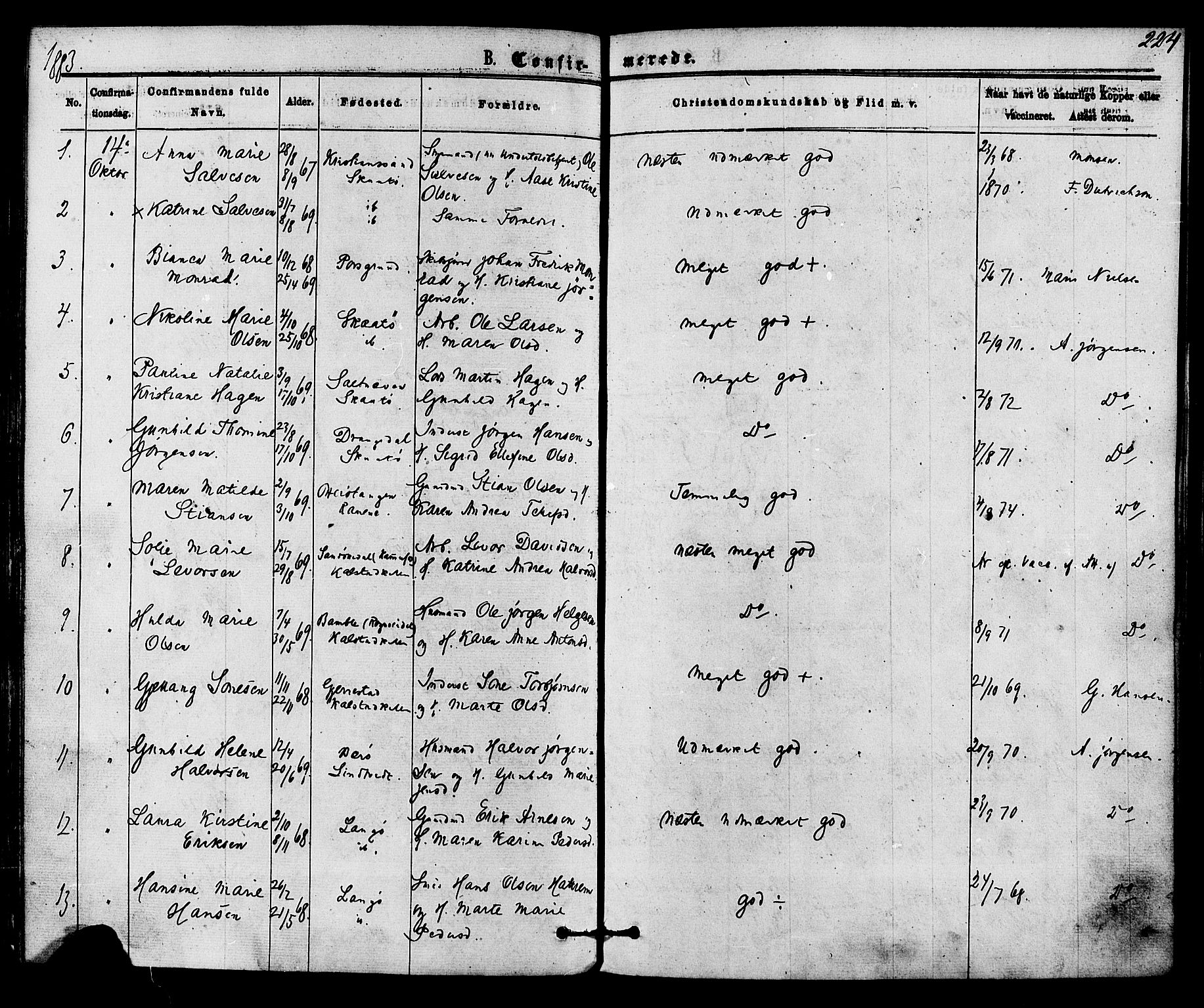 Skåtøy kirkebøker, AV/SAKO-A-304/F/Fa/L0001: Parish register (official) no. I 1, 1874-1883, p. 224