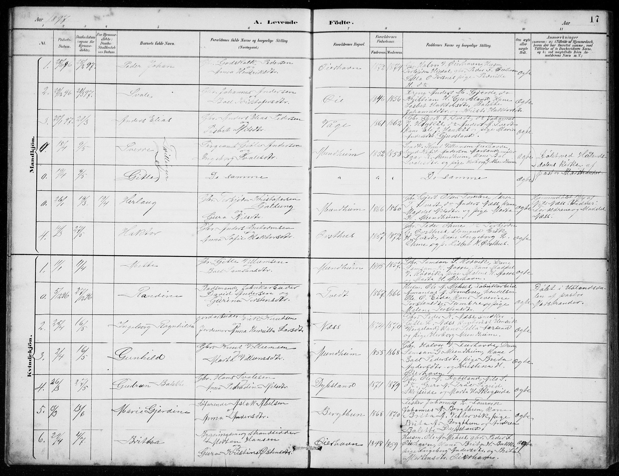 Strandebarm sokneprestembete, SAB/A-78401/H/Hab: Parish register (copy) no. C  1, 1891-1913, p. 17