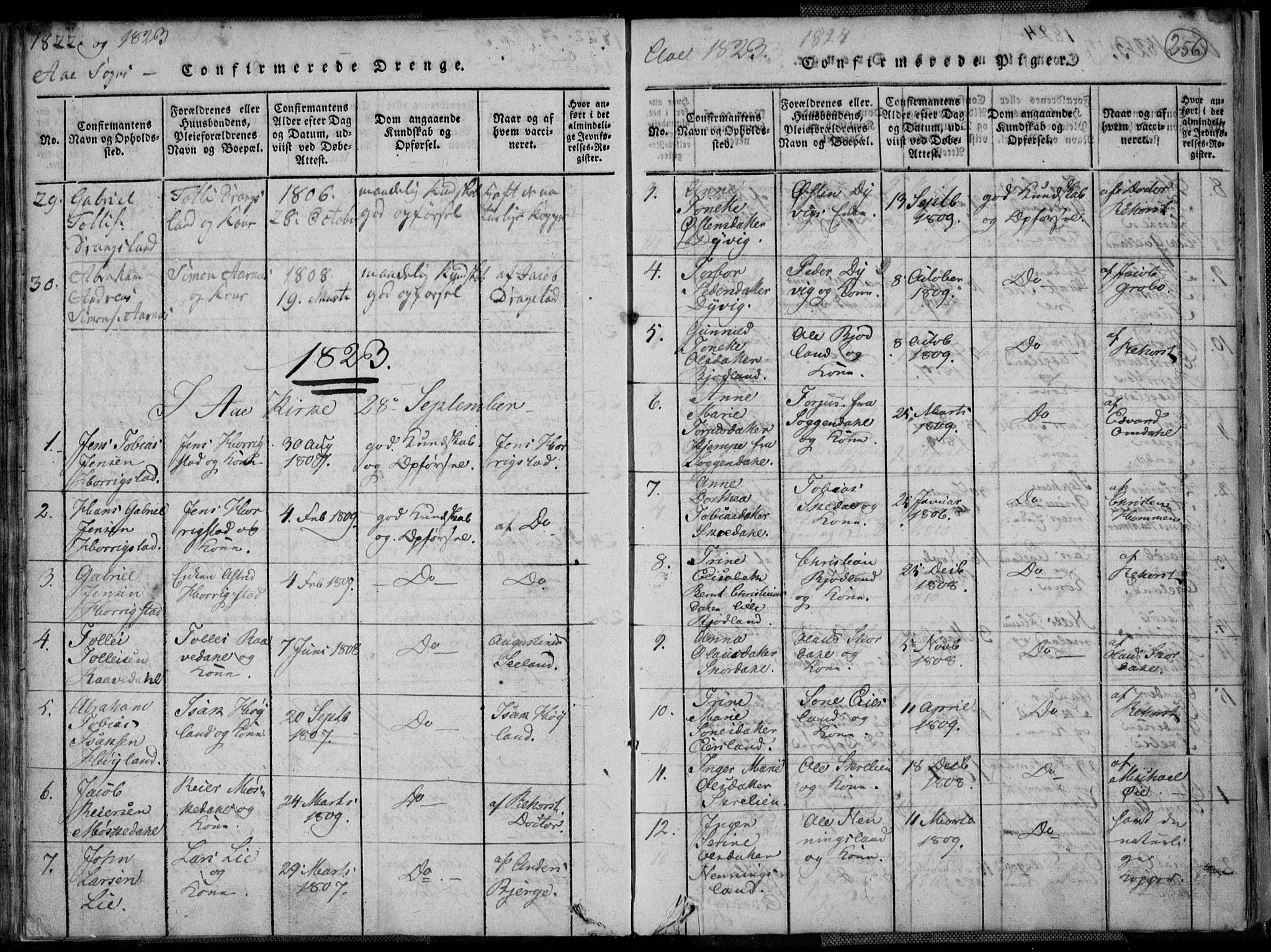 Lyngdal sokneprestkontor, SAK/1111-0029/F/Fa/Fac/L0006: Parish register (official) no. A 6, 1815-1825, p. 256