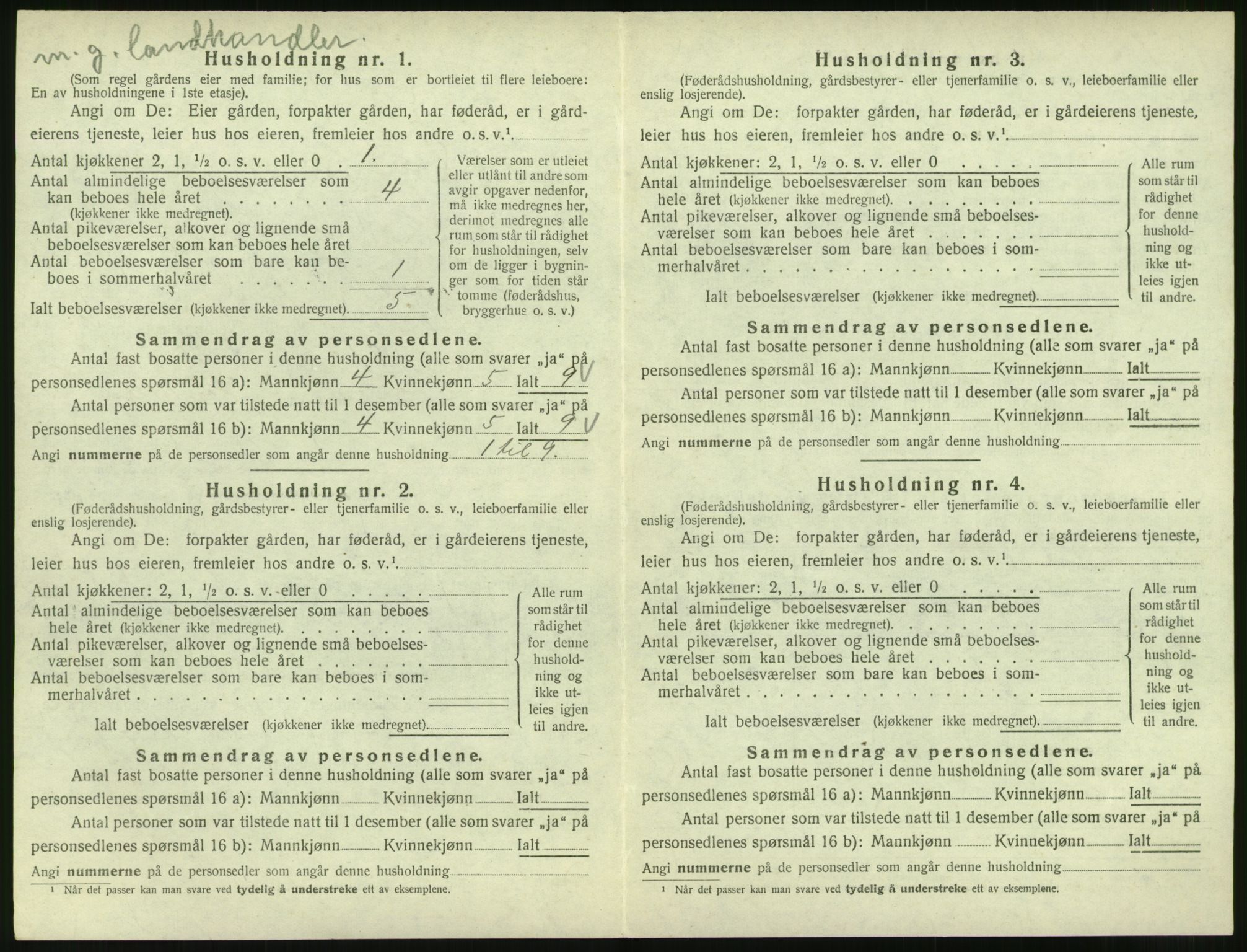 SAT, 1920 census for Skodje, 1920, p. 248