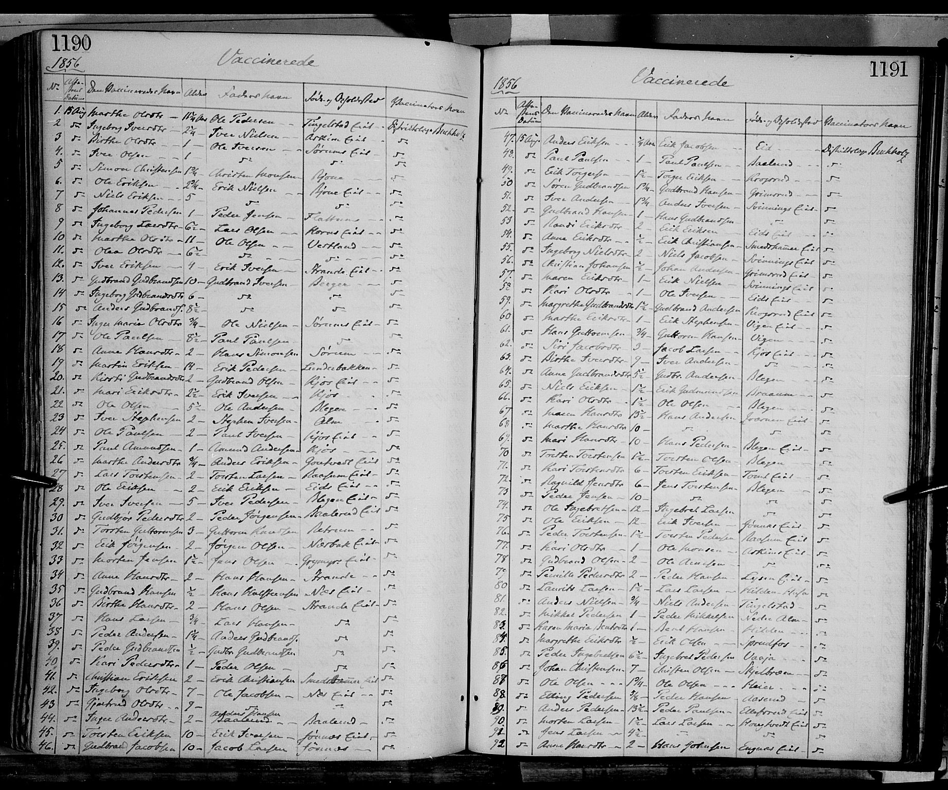 Gran prestekontor, SAH/PREST-112/H/Ha/Haa/L0012: Parish register (official) no. 12, 1856-1874, p. 1190-1191