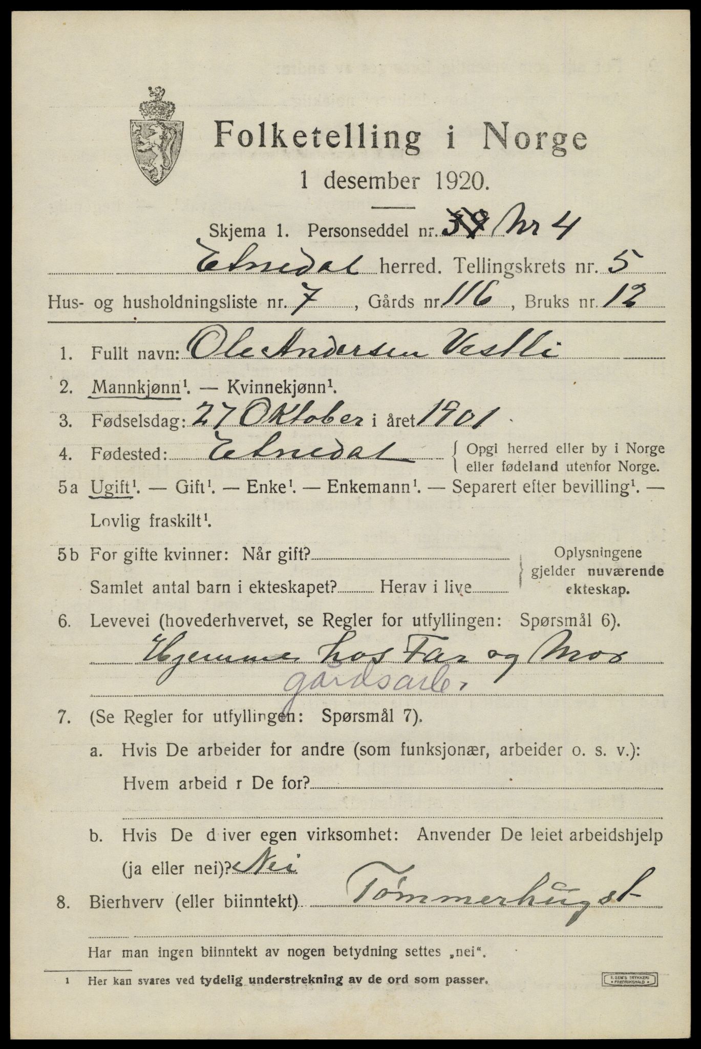 SAH, 1920 census for Etnedal, 1920, p. 1994