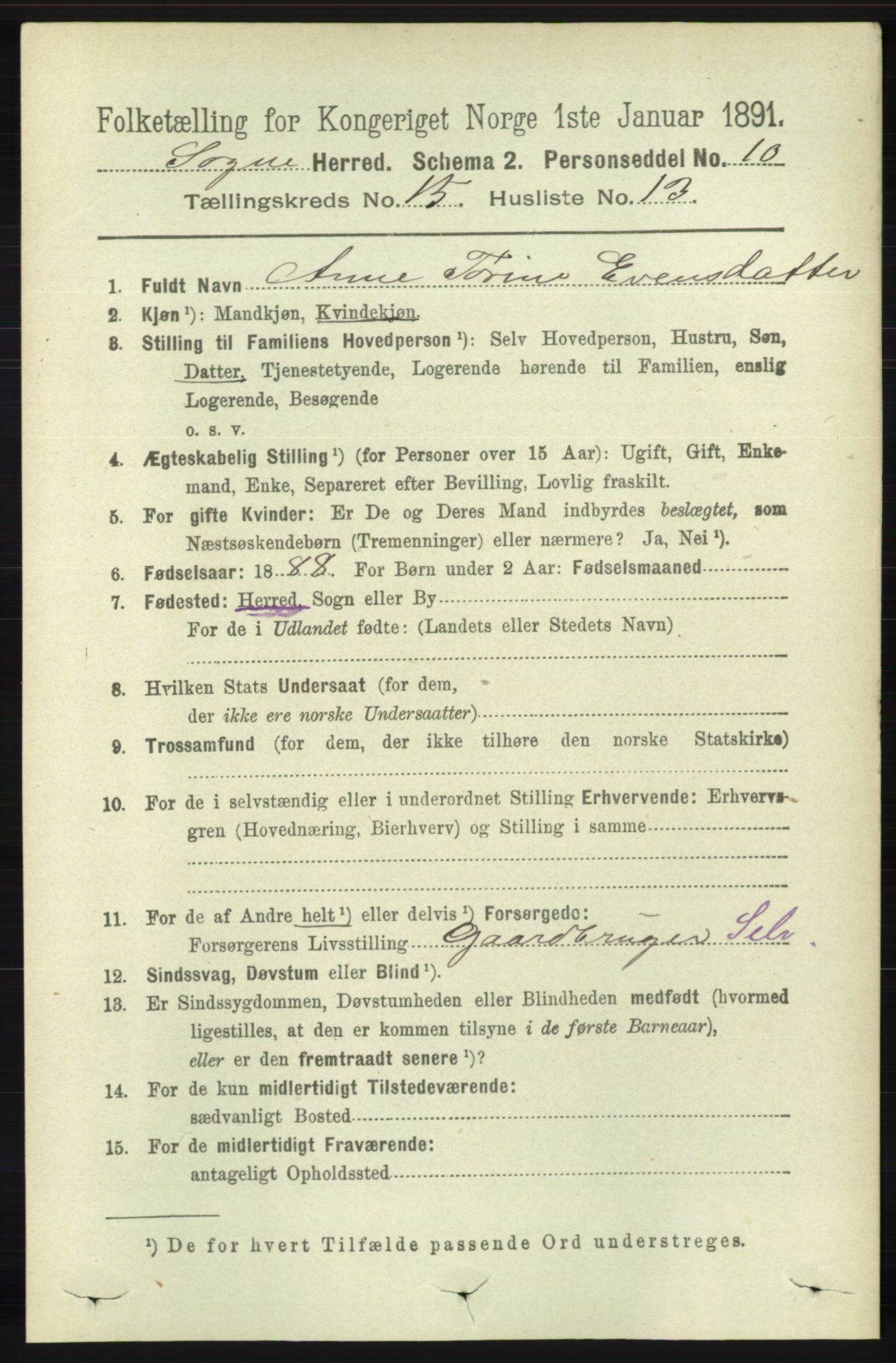 RA, 1891 census for 1018 Søgne, 1891, p. 3960