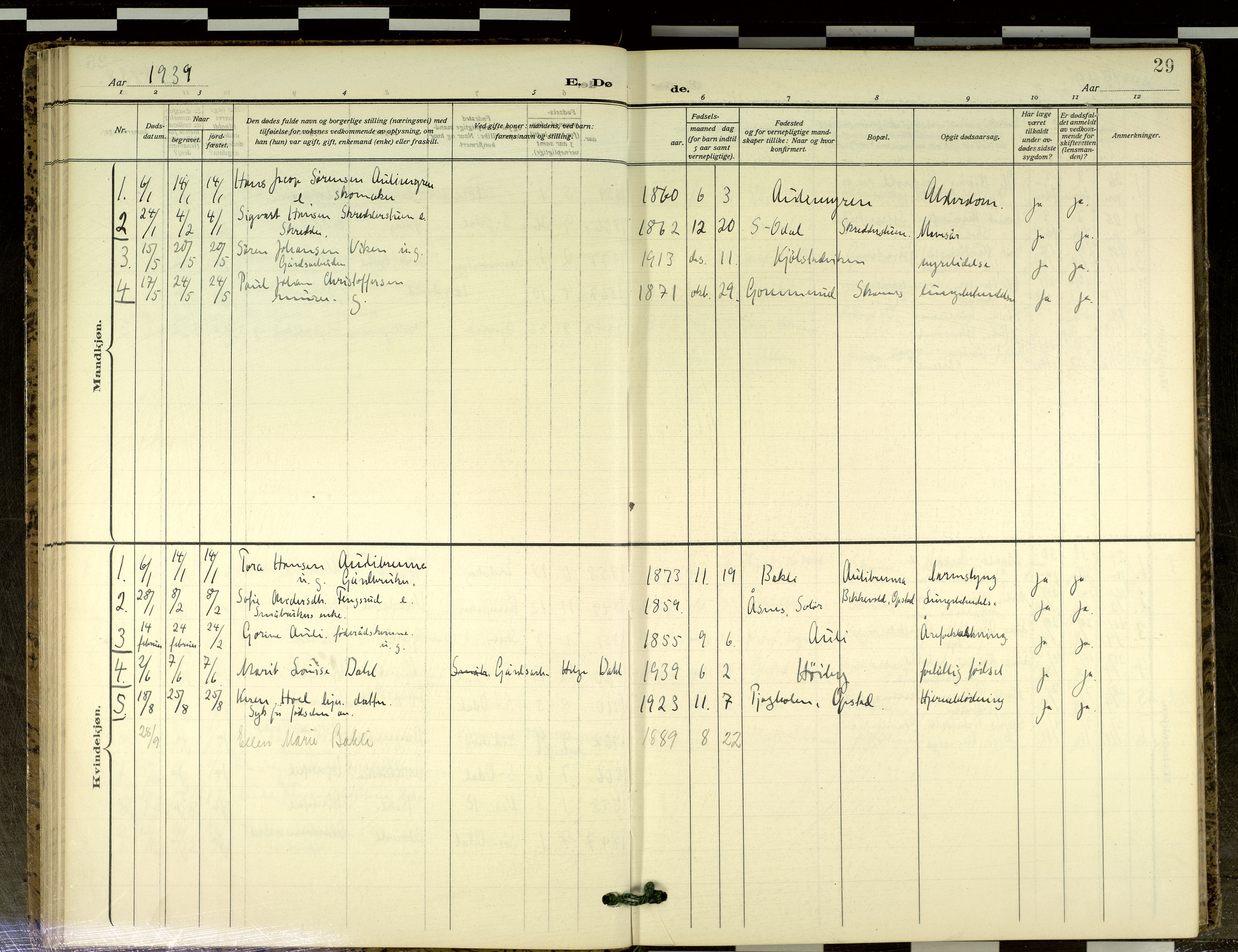 Sør-Odal prestekontor, SAH/PREST-030/H/Ha/Haa/L0021: Parish register (official) no. 21, 1909-2012, p. 29