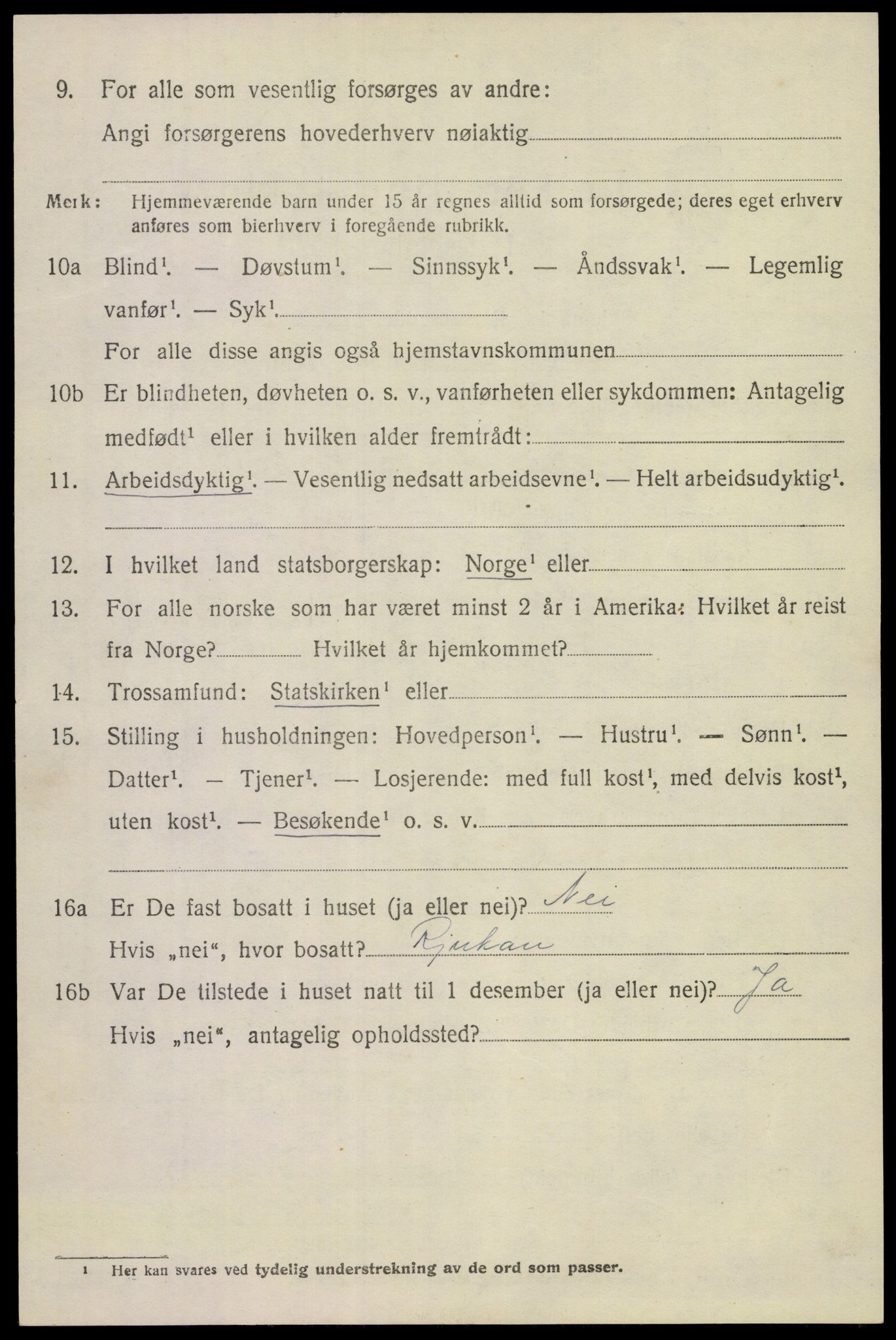 SAKO, 1920 census for Tinn, 1920, p. 3815