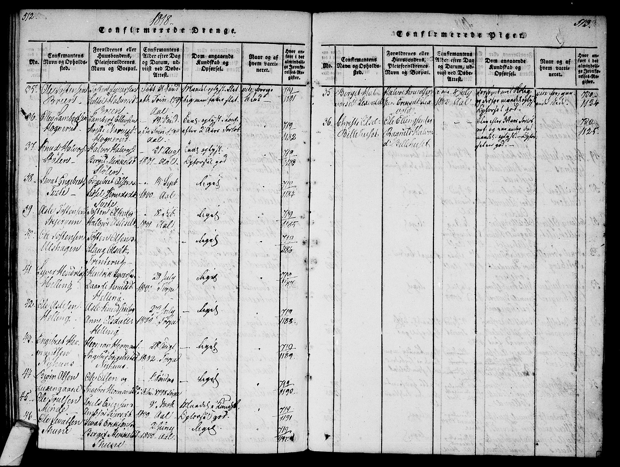 Ål kirkebøker, AV/SAKO-A-249/F/Fa/L0004: Parish register (official) no. I 4, 1815-1825, p. 512-513