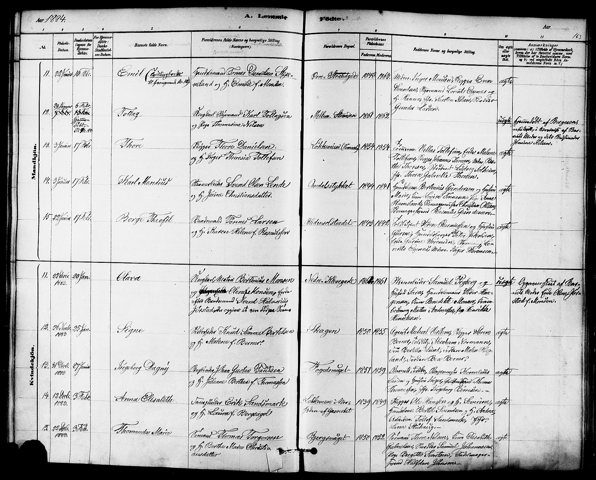 Domkirken sokneprestkontor, AV/SAST-A-101812/001/30/30BA/L0026: Parish register (official) no. A 25, 1878-1889, p. 163