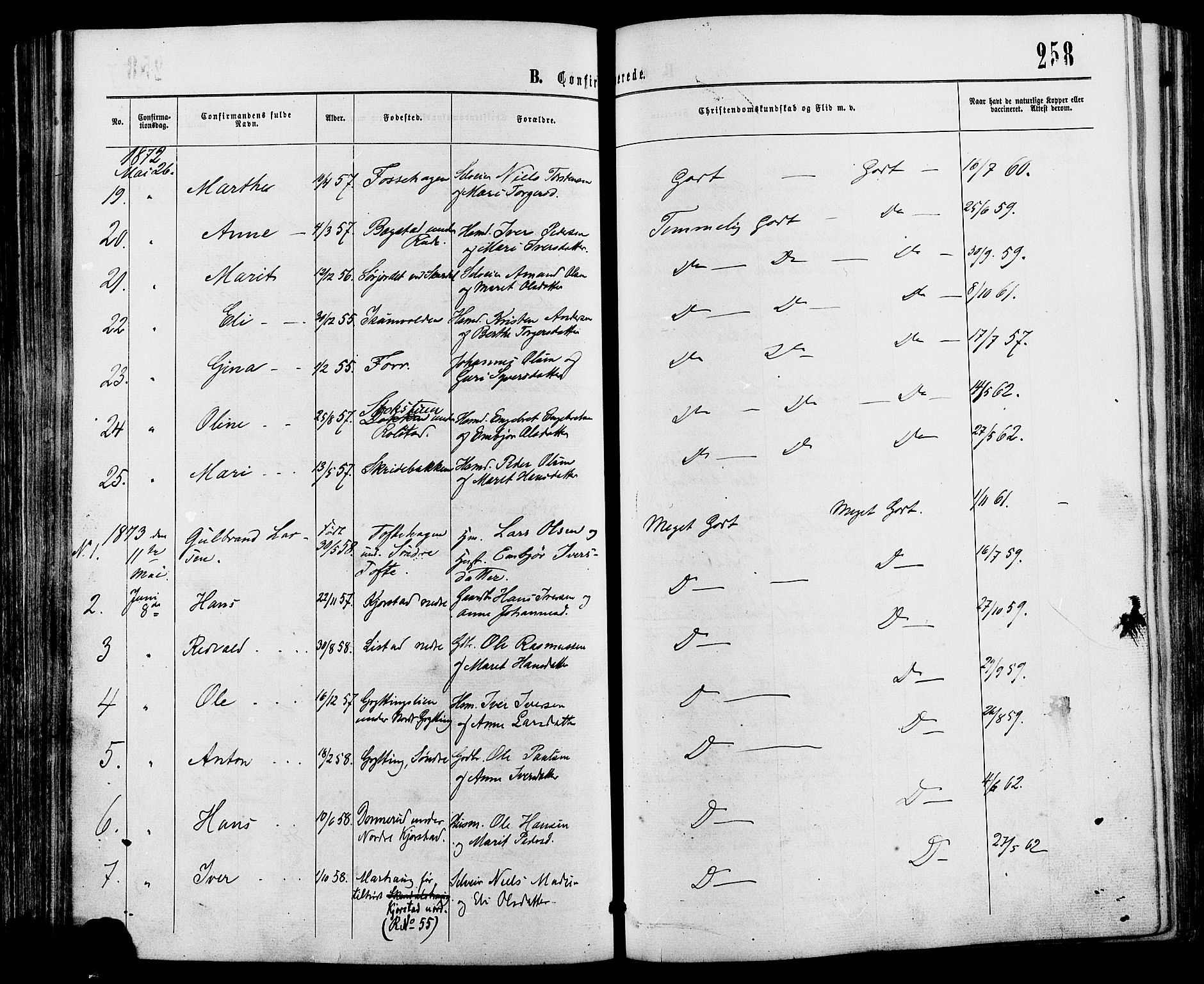 Sør-Fron prestekontor, SAH/PREST-010/H/Ha/Haa/L0002: Parish register (official) no. 2, 1864-1880, p. 258