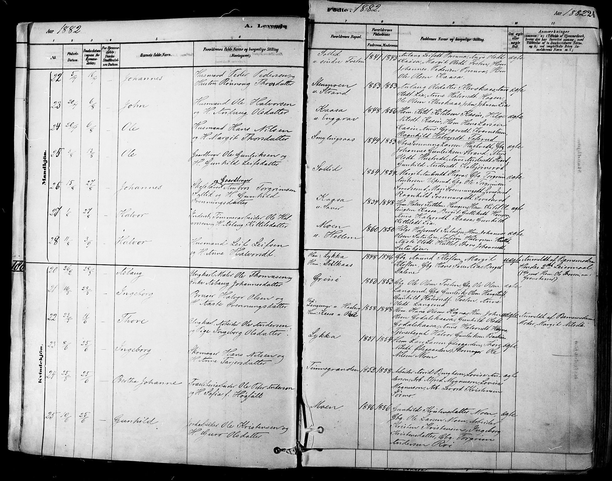 Heddal kirkebøker, AV/SAKO-A-268/F/Fa/L0008: Parish register (official) no. I 8, 1878-1903, p. 24