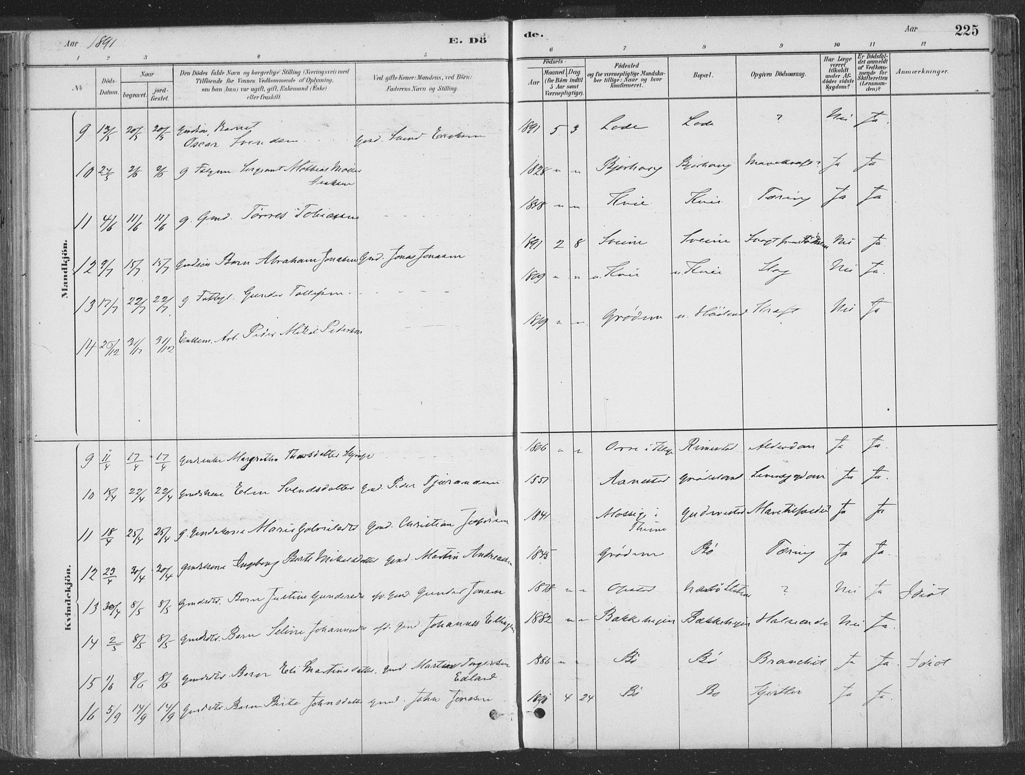 Hå sokneprestkontor, SAST/A-101801/001/30BA/L0010: Parish register (official) no. A 9, 1879-1896, p. 225