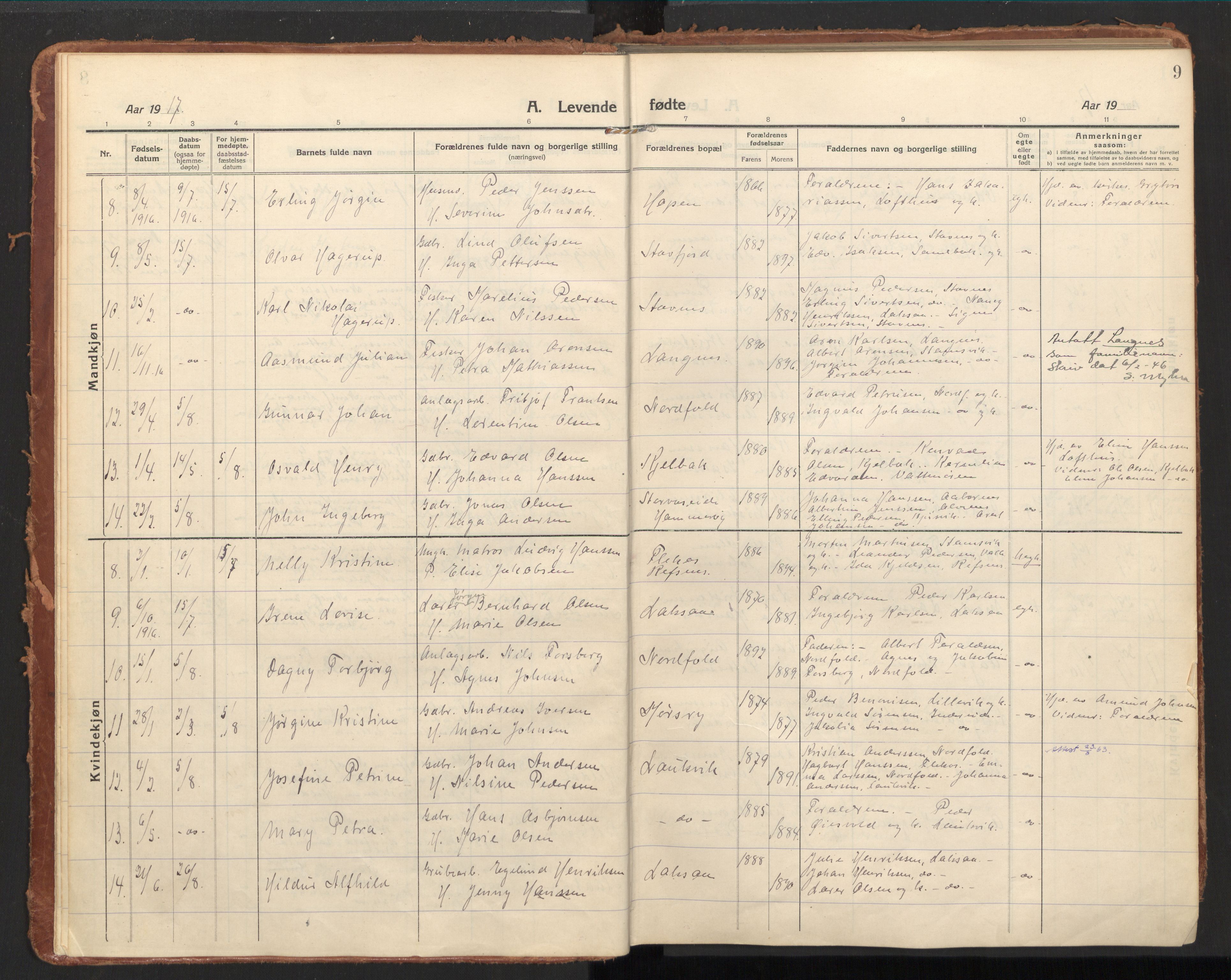 Ministerialprotokoller, klokkerbøker og fødselsregistre - Nordland, SAT/A-1459/858/L0833: Parish register (official) no. 858A03, 1916-1934, p. 9