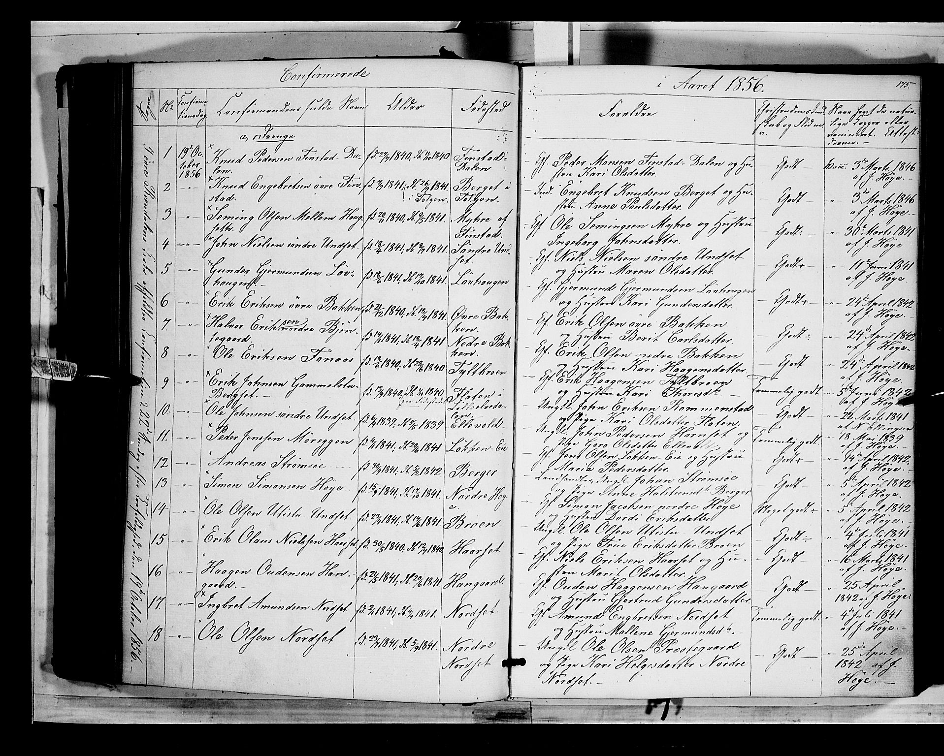 Rendalen prestekontor, SAH/PREST-054/H/Ha/Haa/L0005: Parish register (official) no. 5, 1853-1866, p. 175