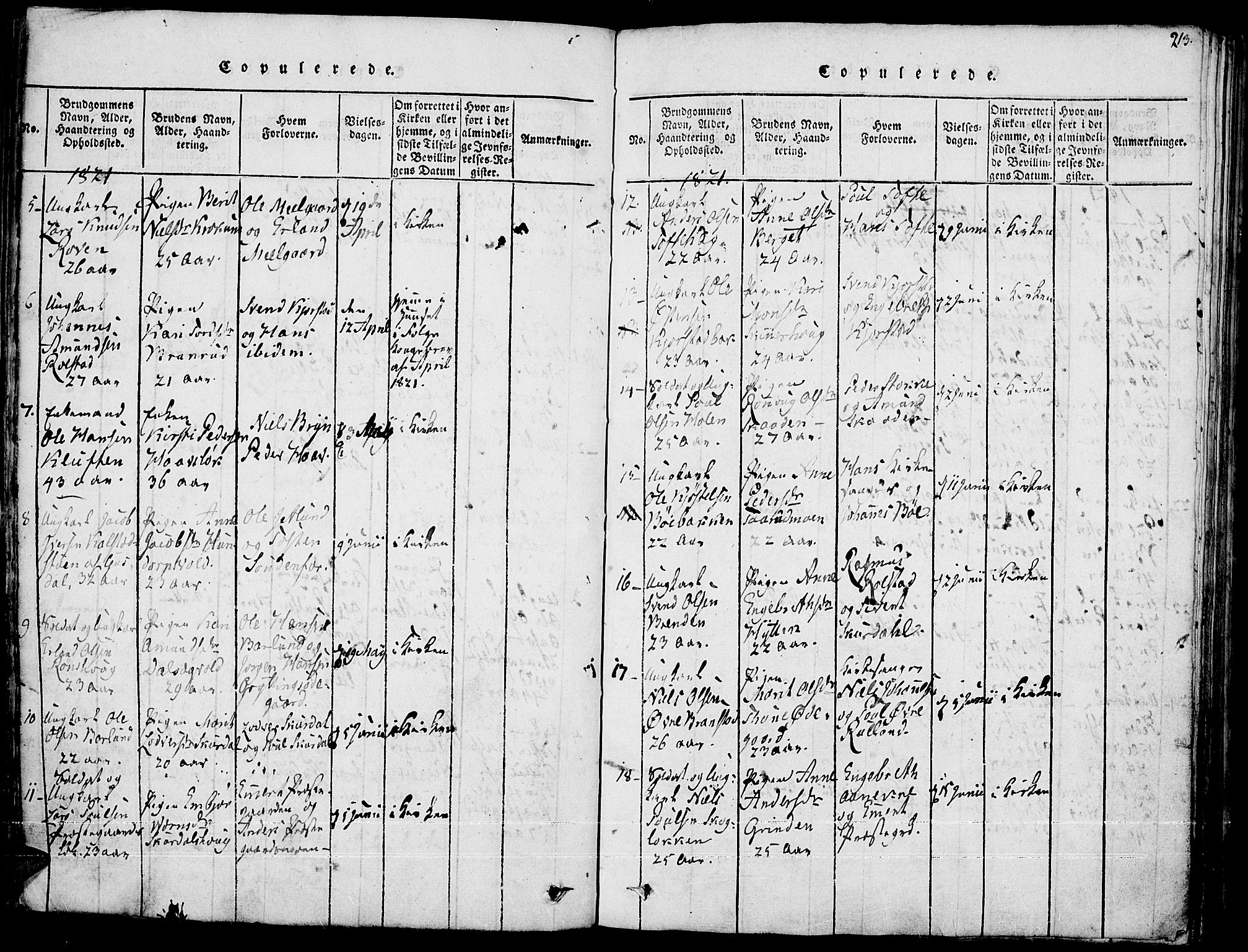 Fron prestekontor, AV/SAH-PREST-078/H/Ha/Haa/L0002: Parish register (official) no. 2, 1816-1827, p. 213