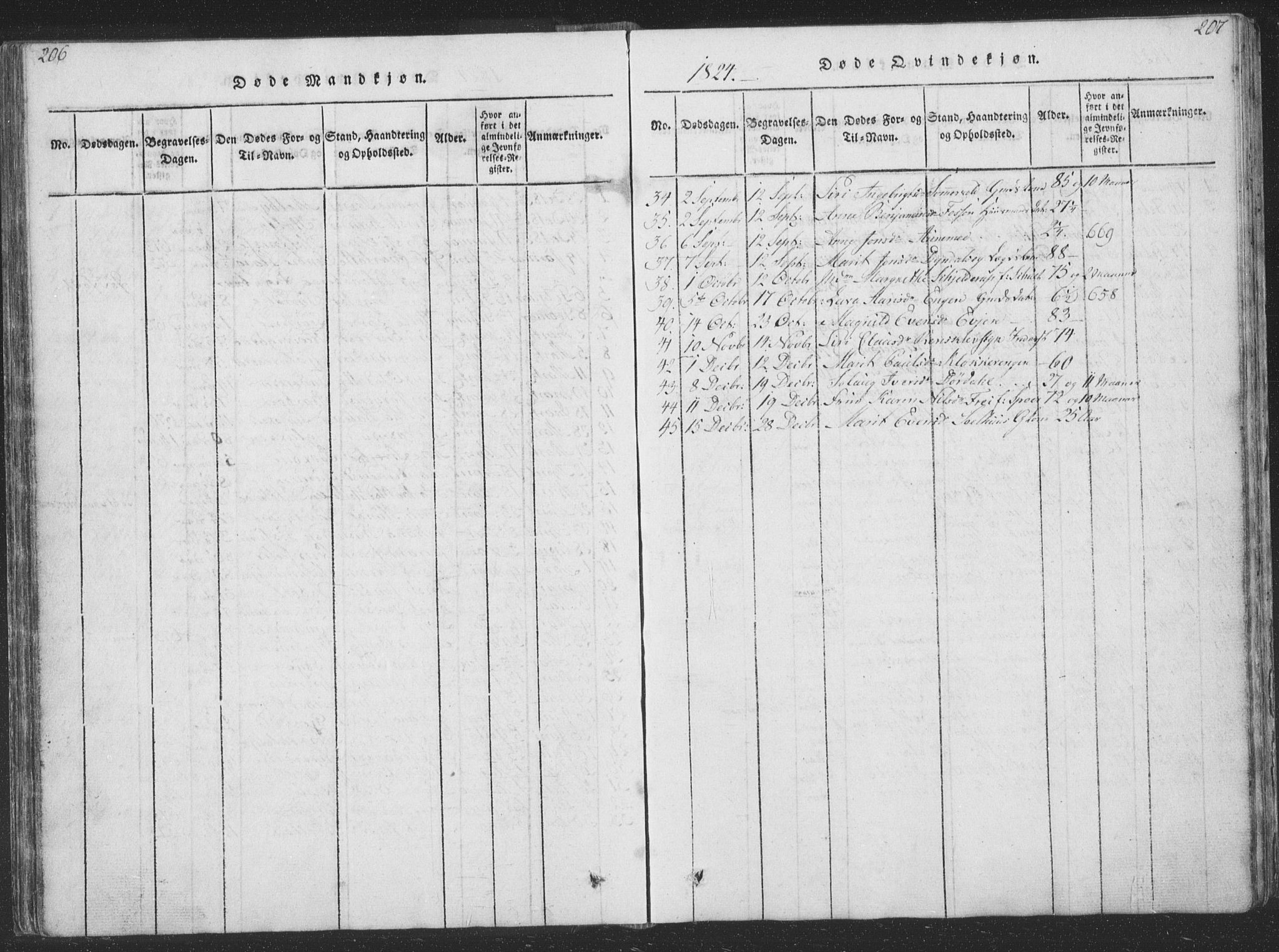 Ministerialprotokoller, klokkerbøker og fødselsregistre - Sør-Trøndelag, SAT/A-1456/668/L0816: Parish register (copy) no. 668C05, 1816-1893, p. 206-207