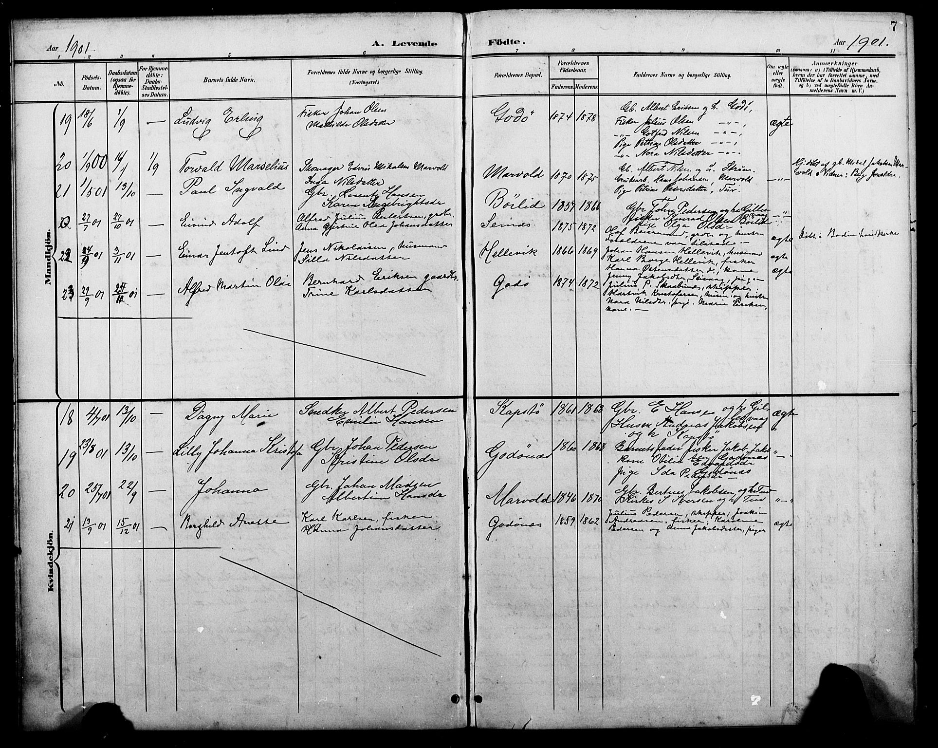 Ministerialprotokoller, klokkerbøker og fødselsregistre - Nordland, AV/SAT-A-1459/804/L0088: Parish register (copy) no. 804C01, 1901-1917, p. 7