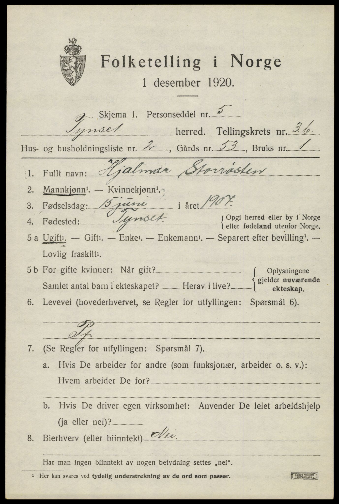 SAH, 1920 census for Tynset, 1920, p. 3156