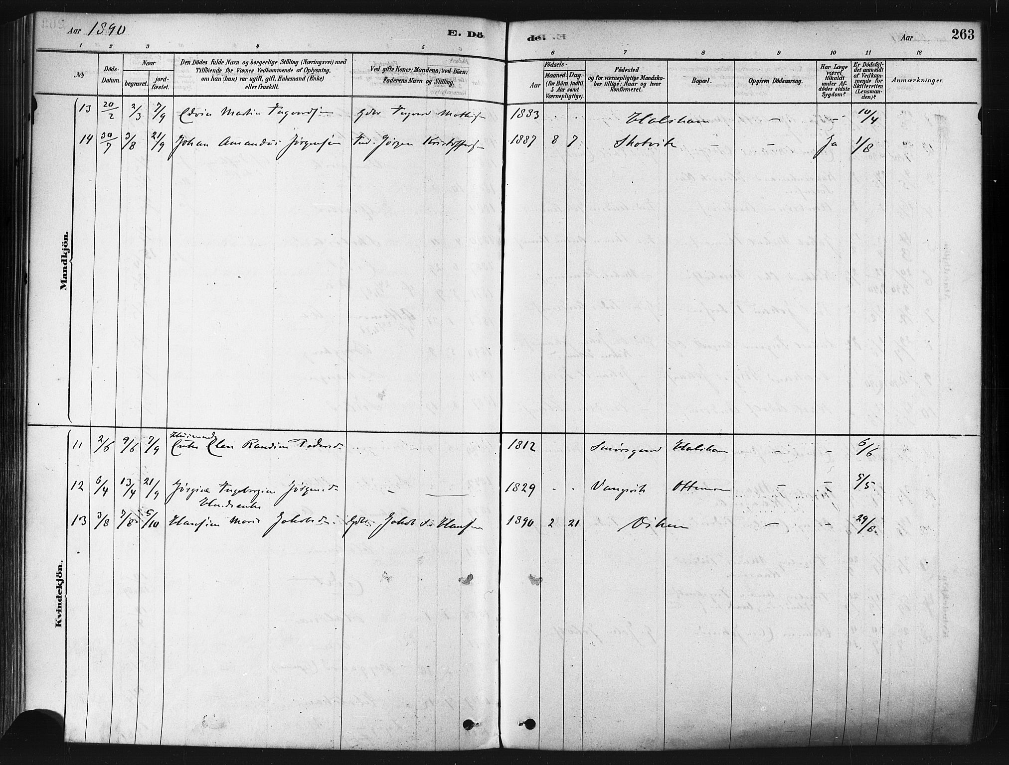 Tranøy sokneprestkontor, SATØ/S-1313/I/Ia/Iaa/L0009kirke: Parish register (official) no. 9, 1878-1904, p. 263