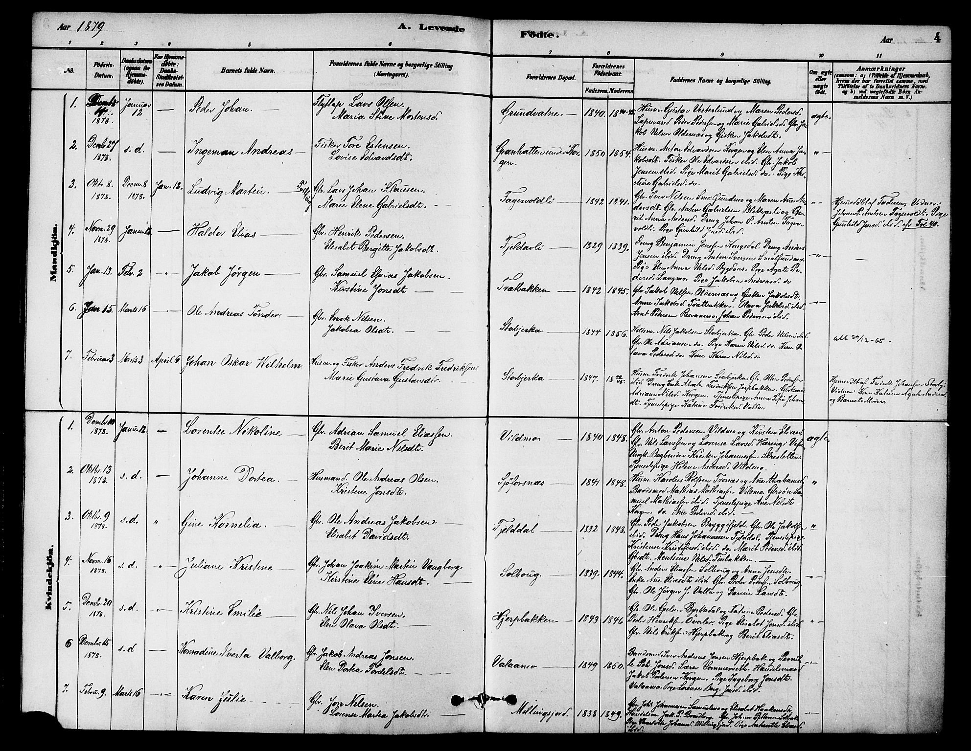 Ministerialprotokoller, klokkerbøker og fødselsregistre - Nordland, AV/SAT-A-1459/826/L0379: Parish register (official) no. 826A02, 1878-1895, p. 4