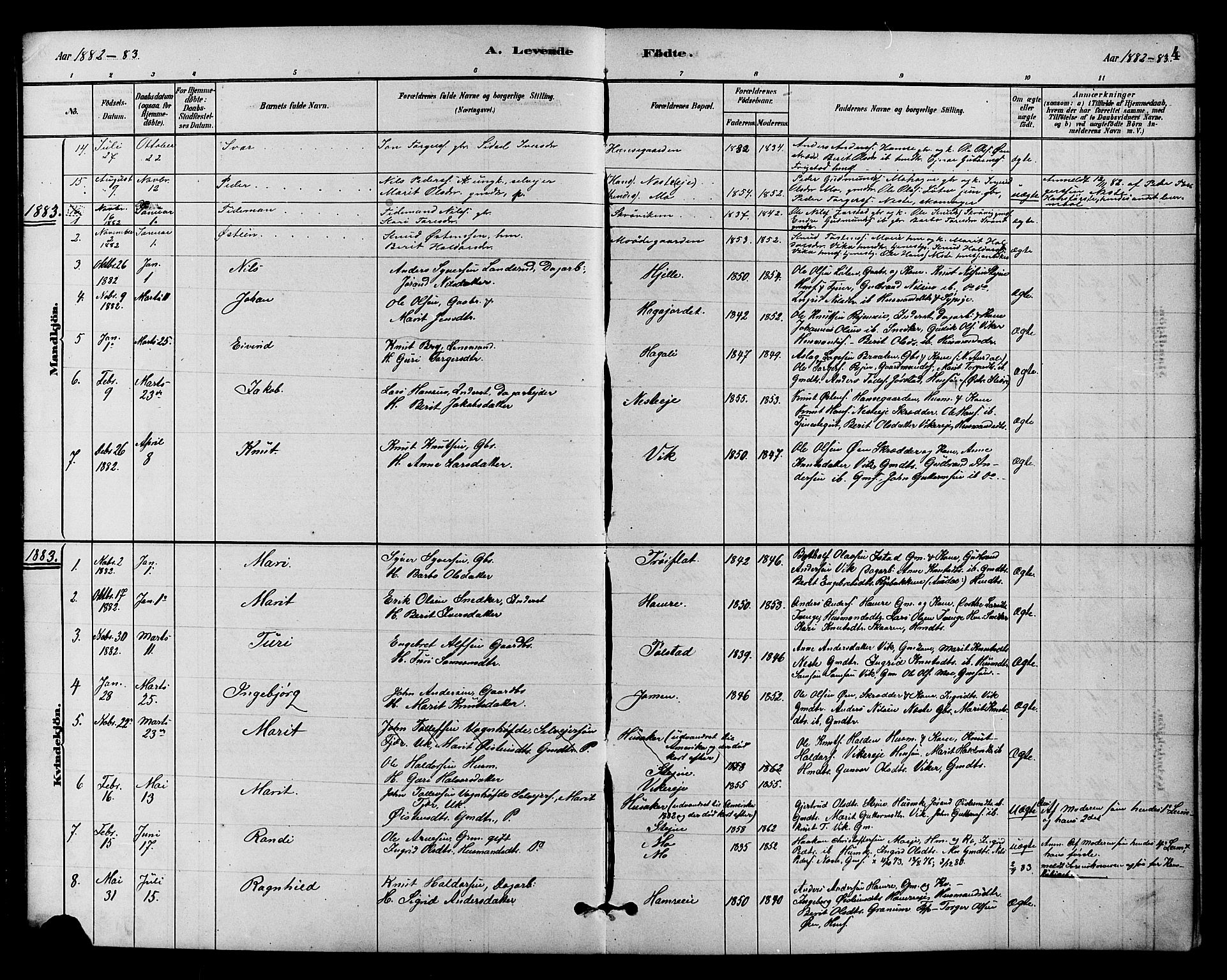 Vestre Slidre prestekontor, SAH/PREST-136/H/Ha/Hab/L0004: Parish register (copy) no. 4, 1881-1912, p. 4