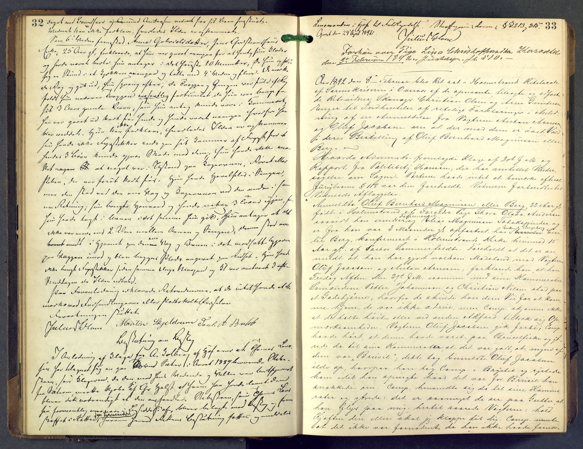 Nordre Jarlsberg sorenskriveri, AV/SAKO-A-80/F/Fb/Fba/L0028: Ekstrarettsprotokoll, 1891-1897, p. 32-33