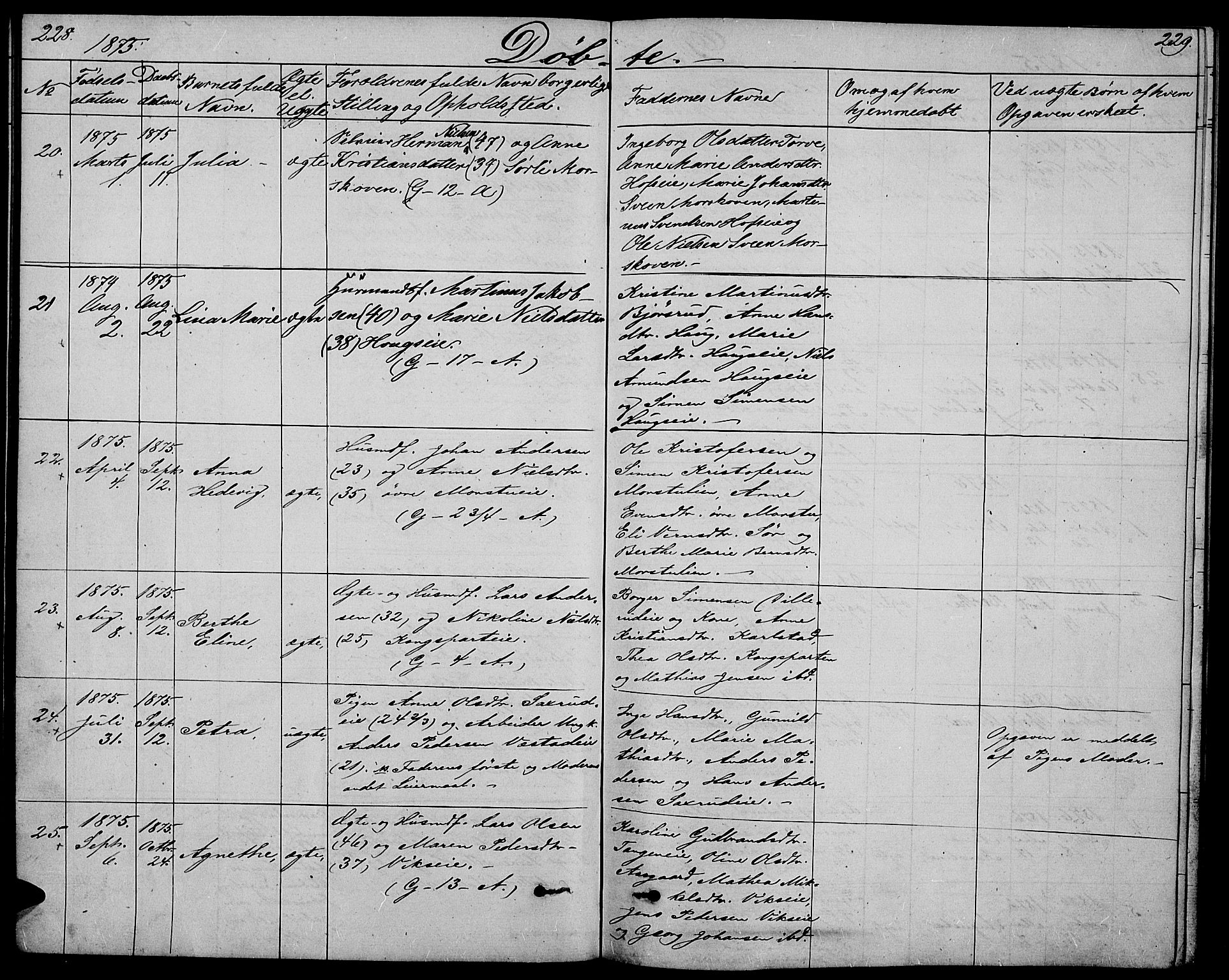 Stange prestekontor, SAH/PREST-002/L/L0005: Parish register (copy) no. 5, 1861-1881, p. 228-229