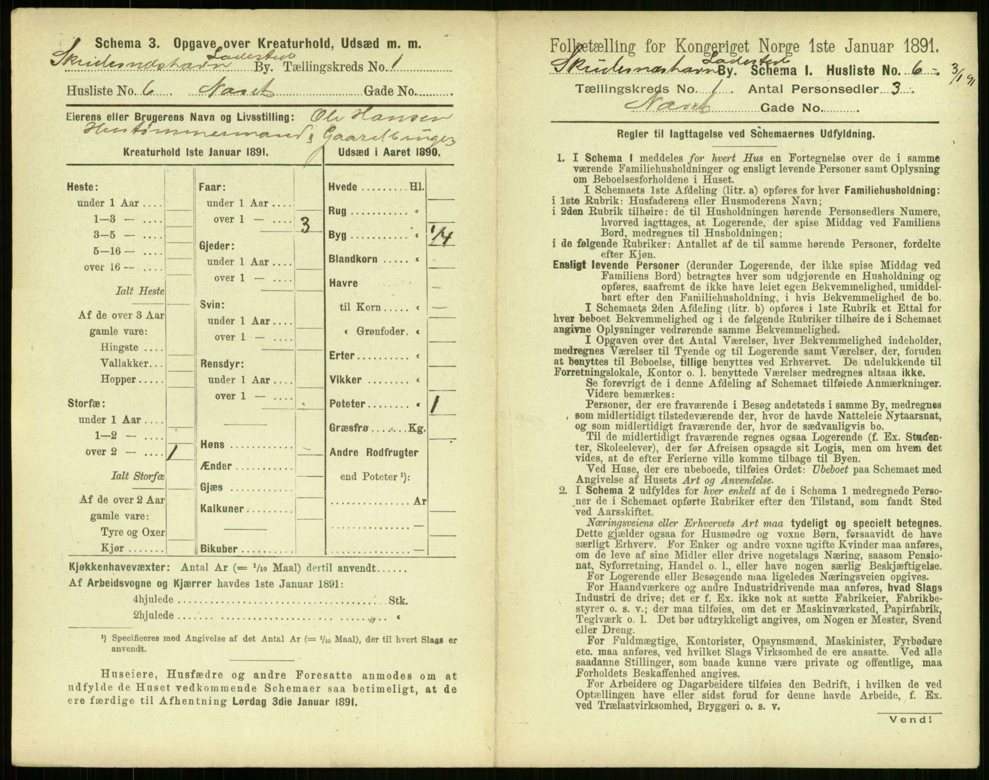 RA, 1891 census for 1104 Skudeneshavn, 1891, p. 26