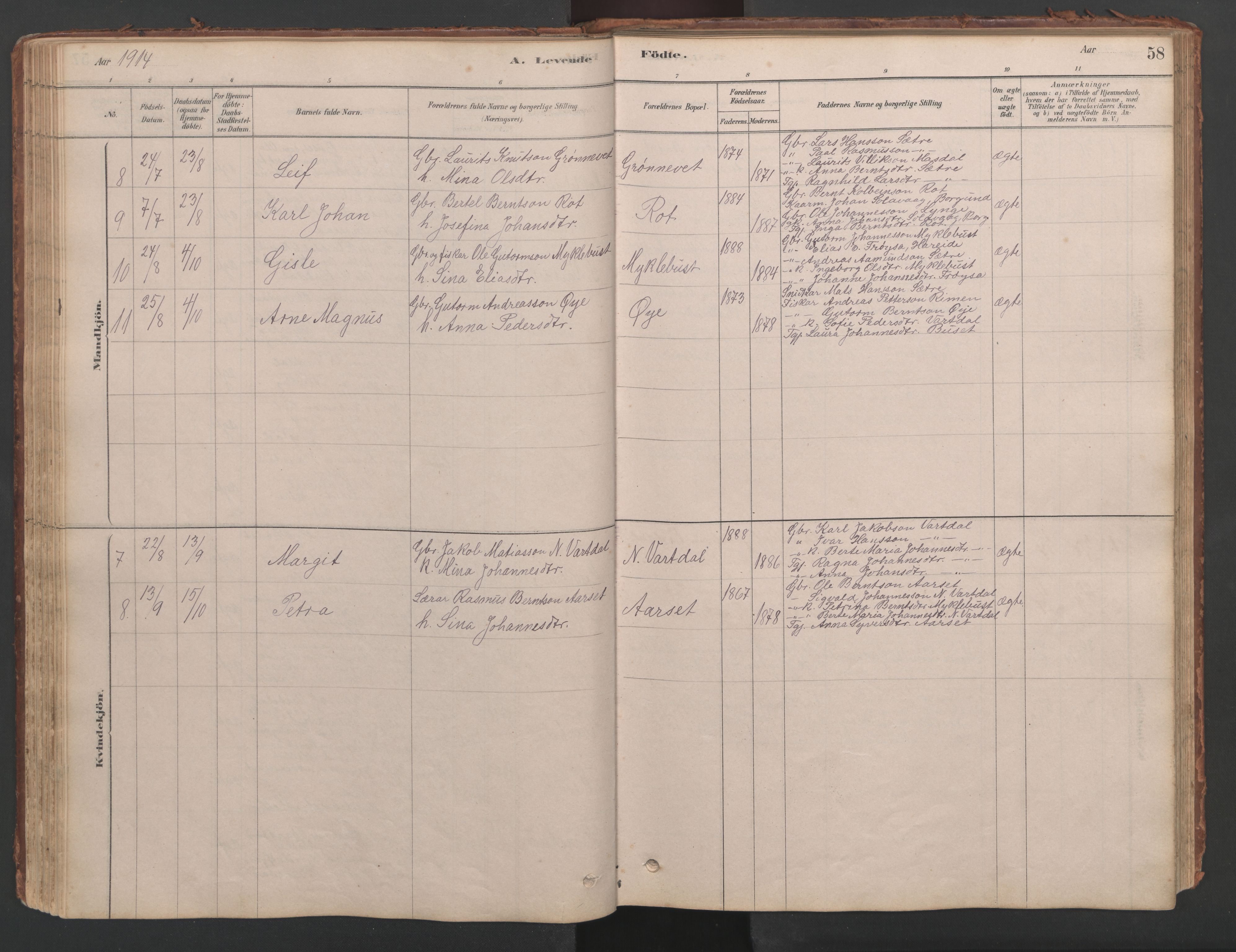 Ministerialprotokoller, klokkerbøker og fødselsregistre - Møre og Romsdal, AV/SAT-A-1454/514/L0201: Parish register (copy) no. 514C01, 1878-1919, p. 58