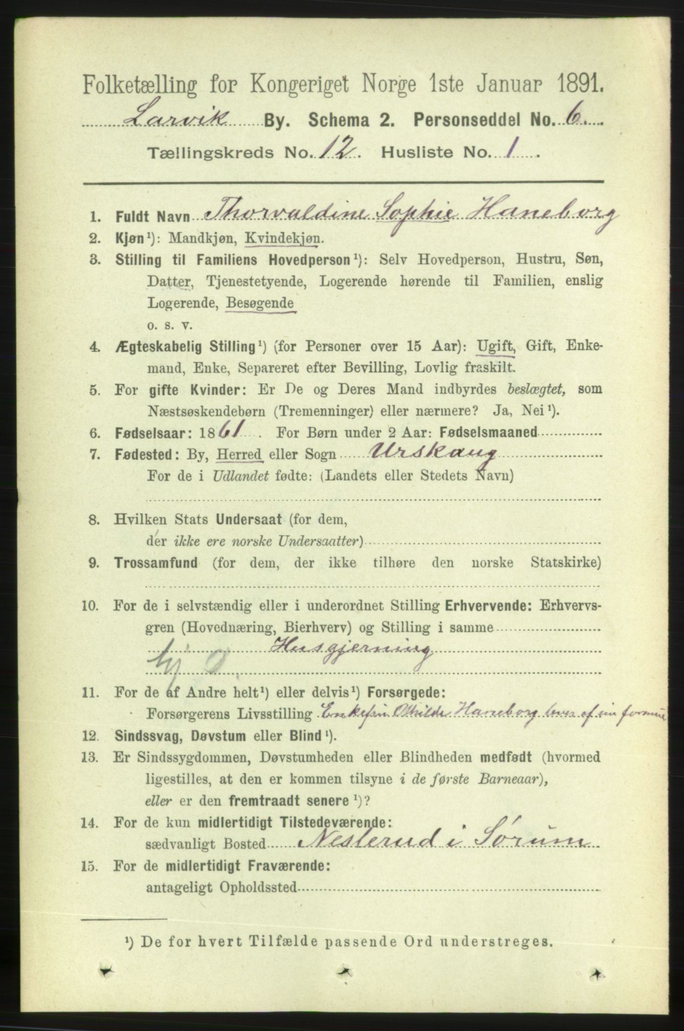 RA, 1891 census for 0707 Larvik, 1891, p. 10127