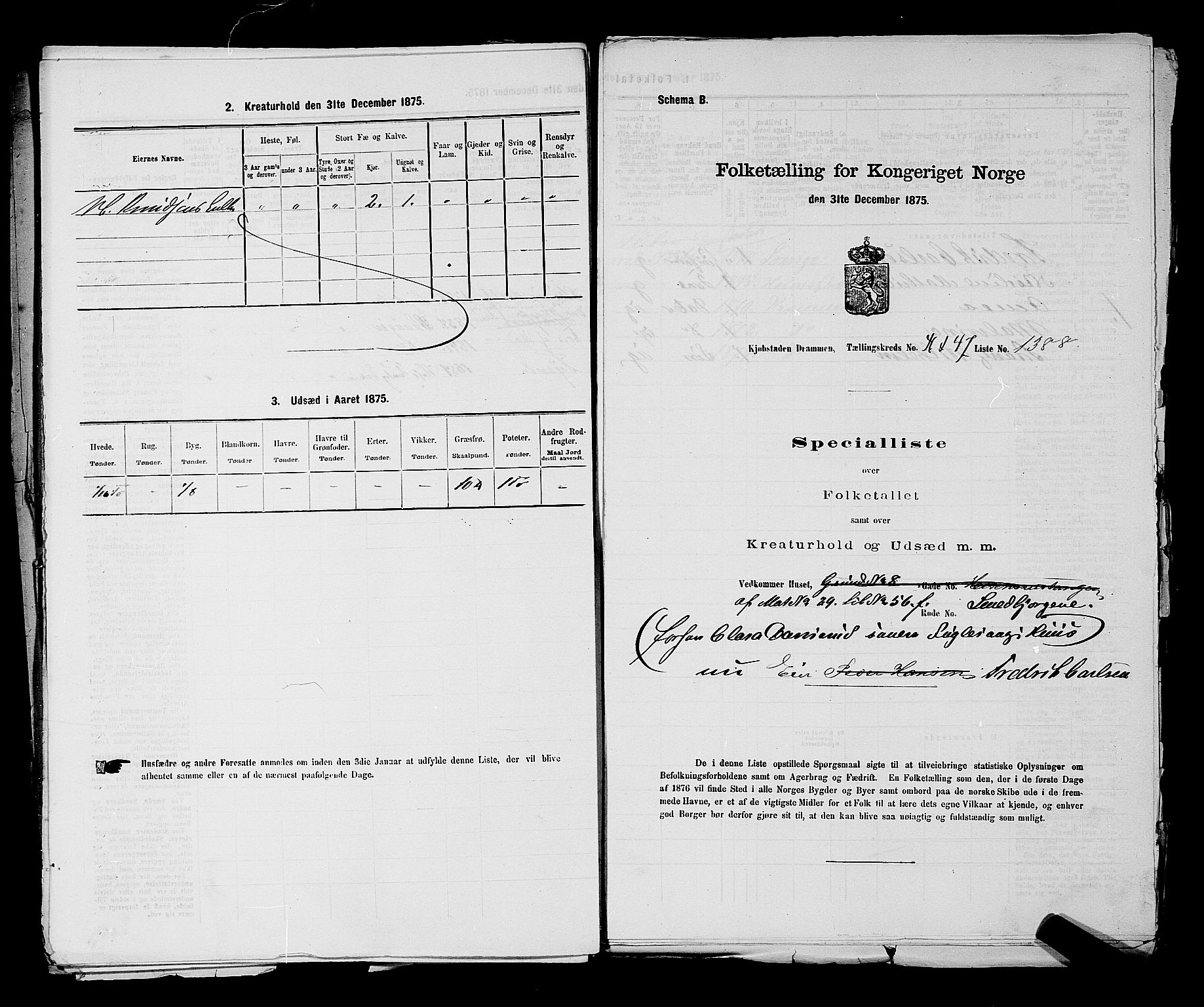 SAKO, 1875 census for 0602 Drammen, 1875, p. 3718