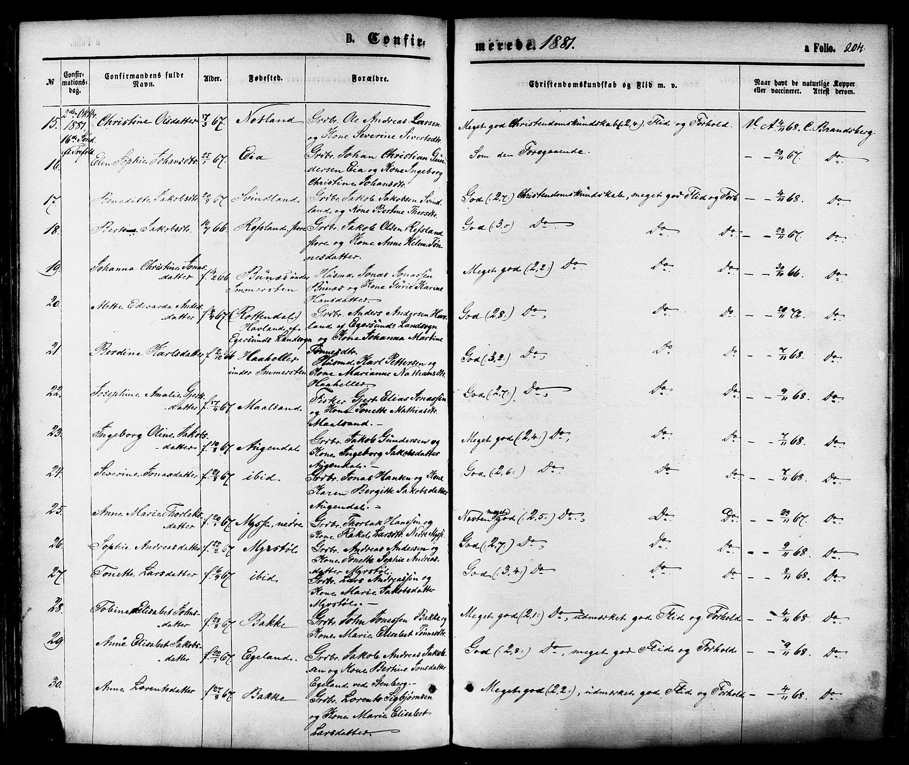 Sokndal sokneprestkontor, AV/SAST-A-101808: Parish register (official) no. A 10, 1874-1886, p. 204