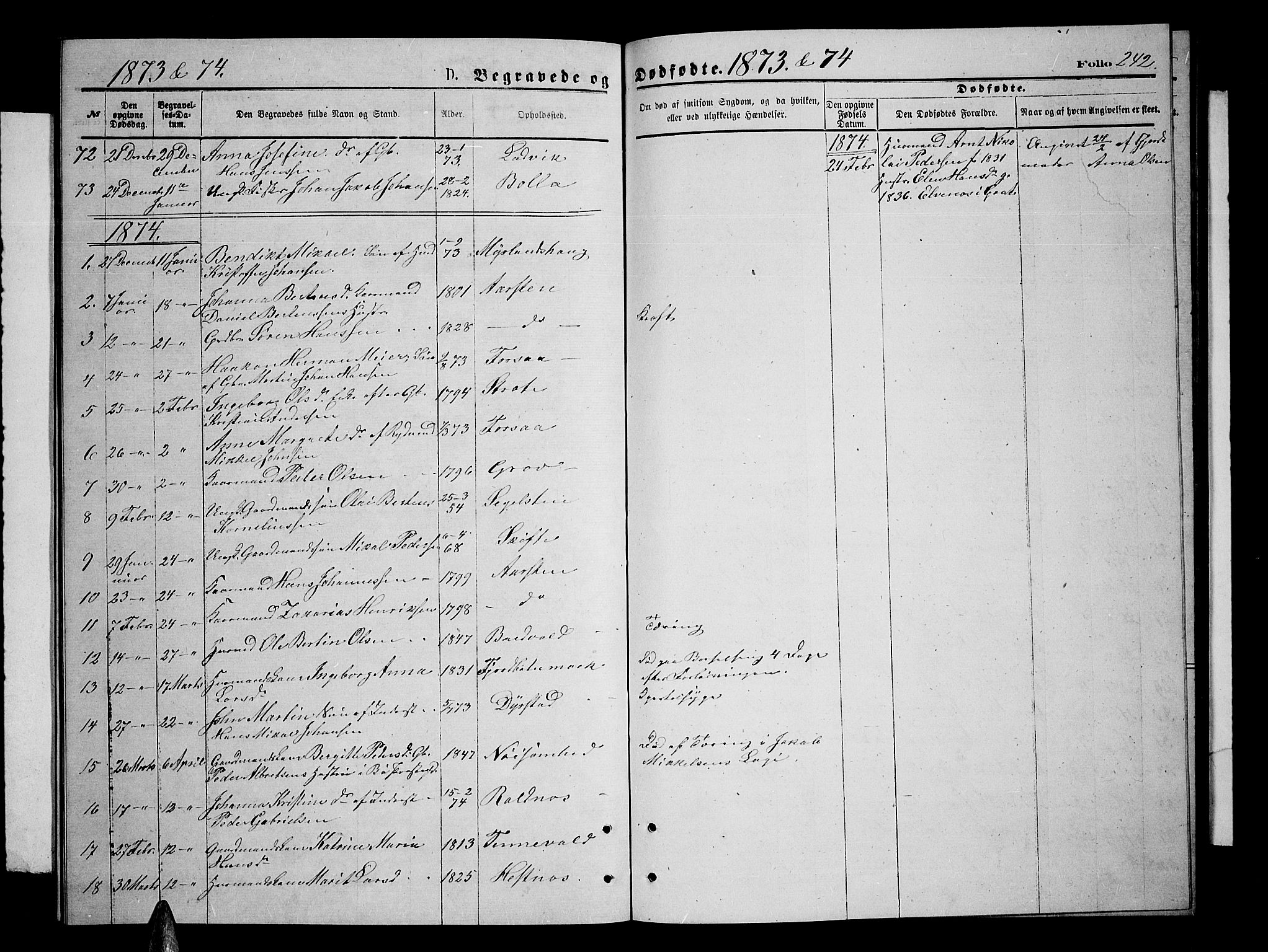 Ibestad sokneprestembete, SATØ/S-0077/H/Ha/Hab/L0006klokker: Parish register (copy) no. 6, 1871-1879, p. 242