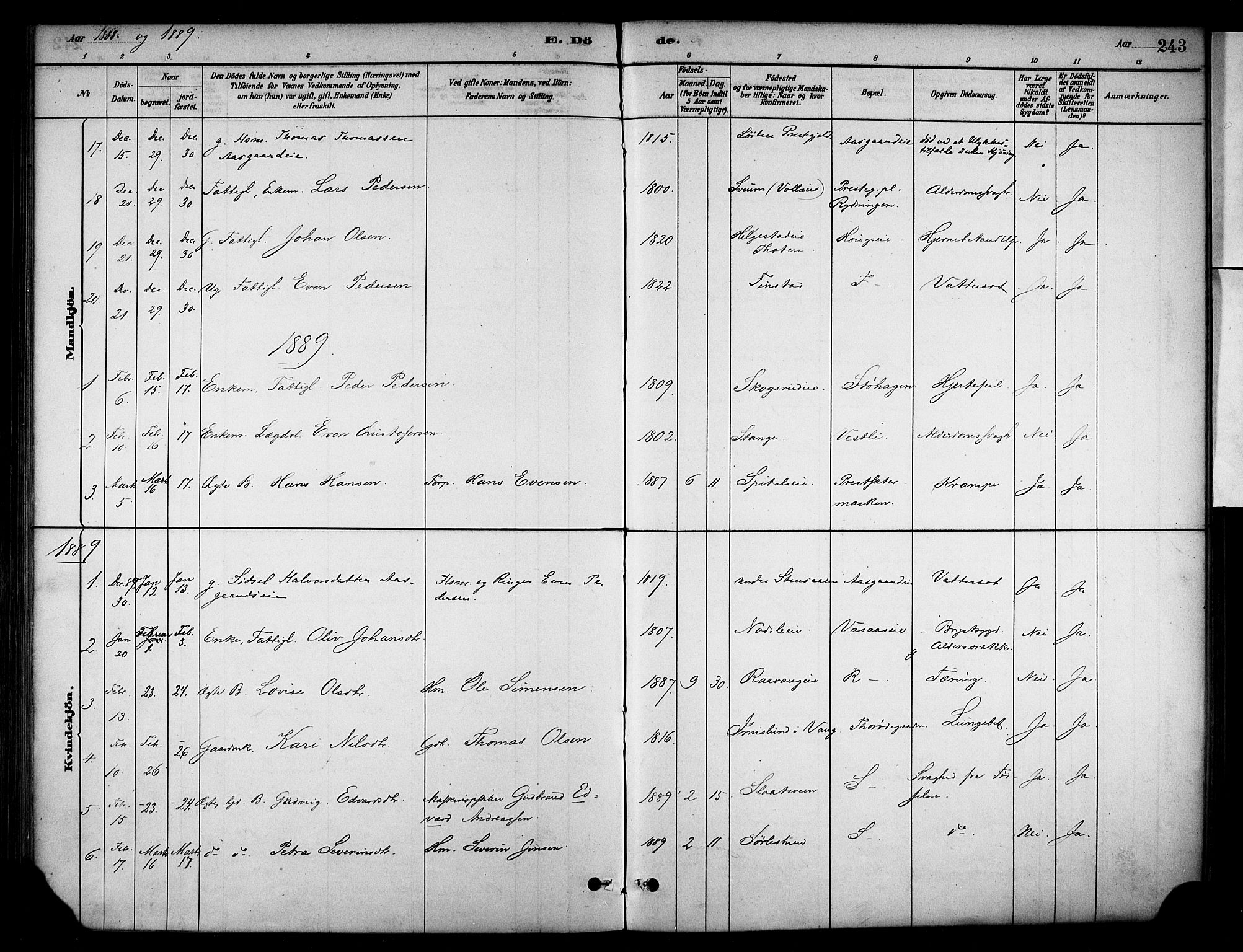 Stange prestekontor, SAH/PREST-002/K/L0018: Parish register (official) no. 18, 1880-1896, p. 243