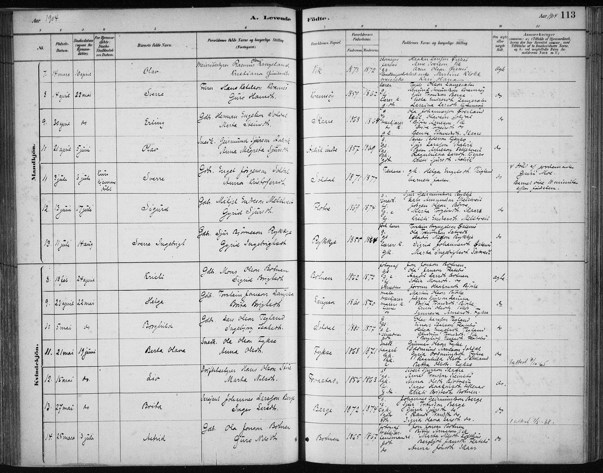 Kvam sokneprestembete, SAB/A-76201/H/Haa: Parish register (official) no. C  1, 1880-1906, p. 113