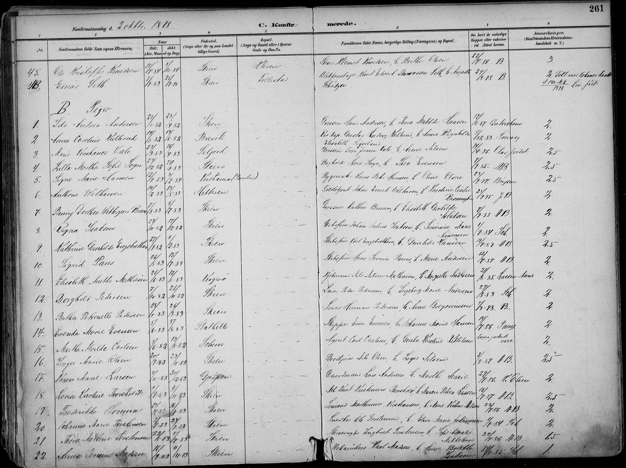 Skien kirkebøker, AV/SAKO-A-302/F/Fa/L0010: Parish register (official) no. 10, 1891-1899, p. 261