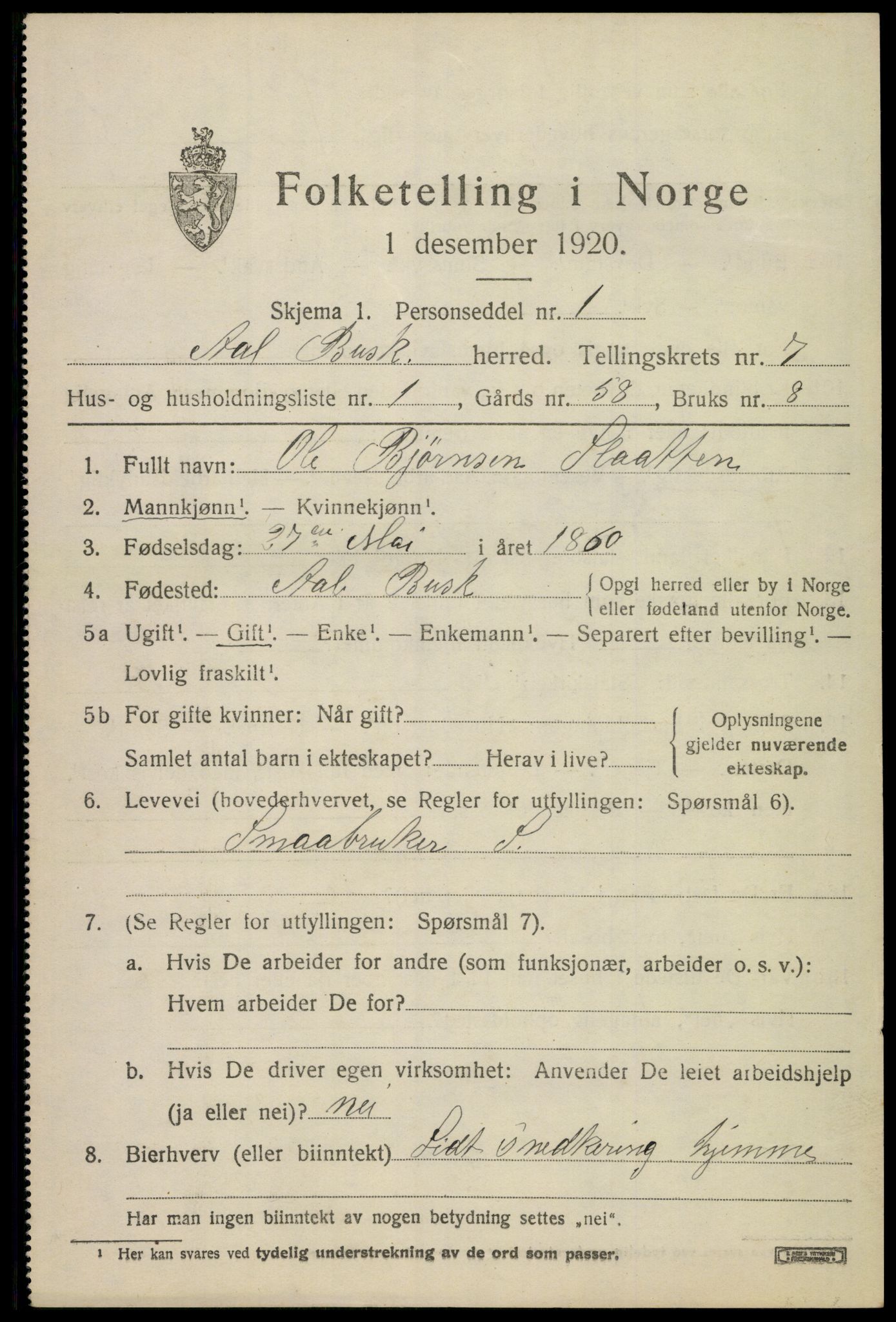 SAKO, 1920 census for Ål, 1920, p. 4790