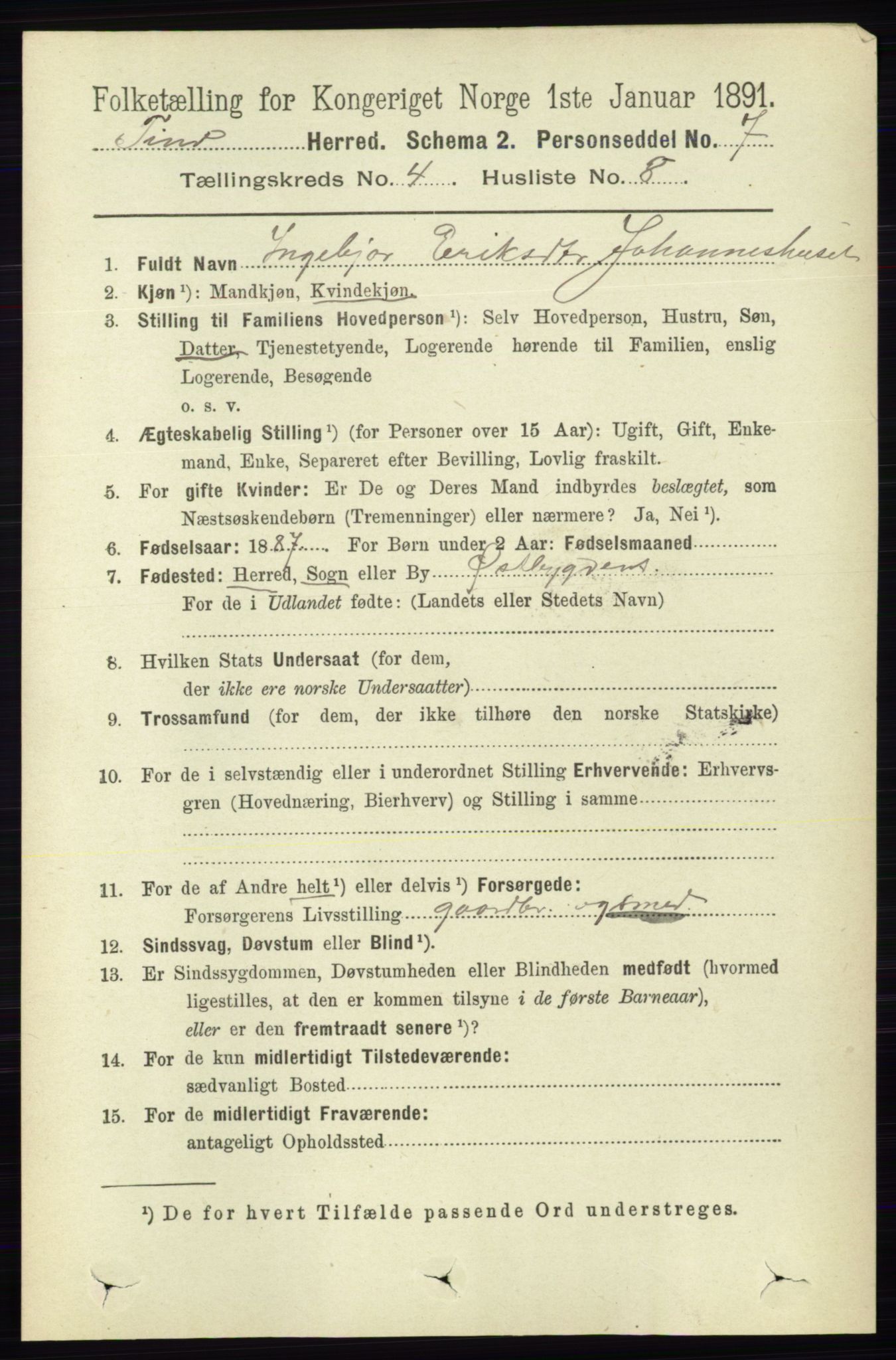 RA, 1891 census for 0826 Tinn, 1891, p. 773