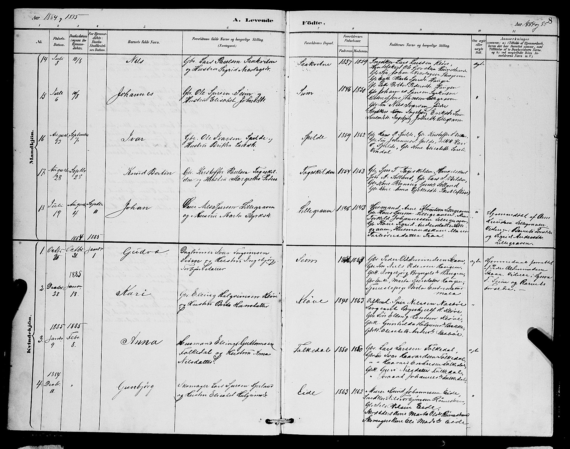 Ulvik sokneprestembete, SAB/A-78801/H/Hab: Parish register (copy) no. B 3, 1884-1901, p. 8