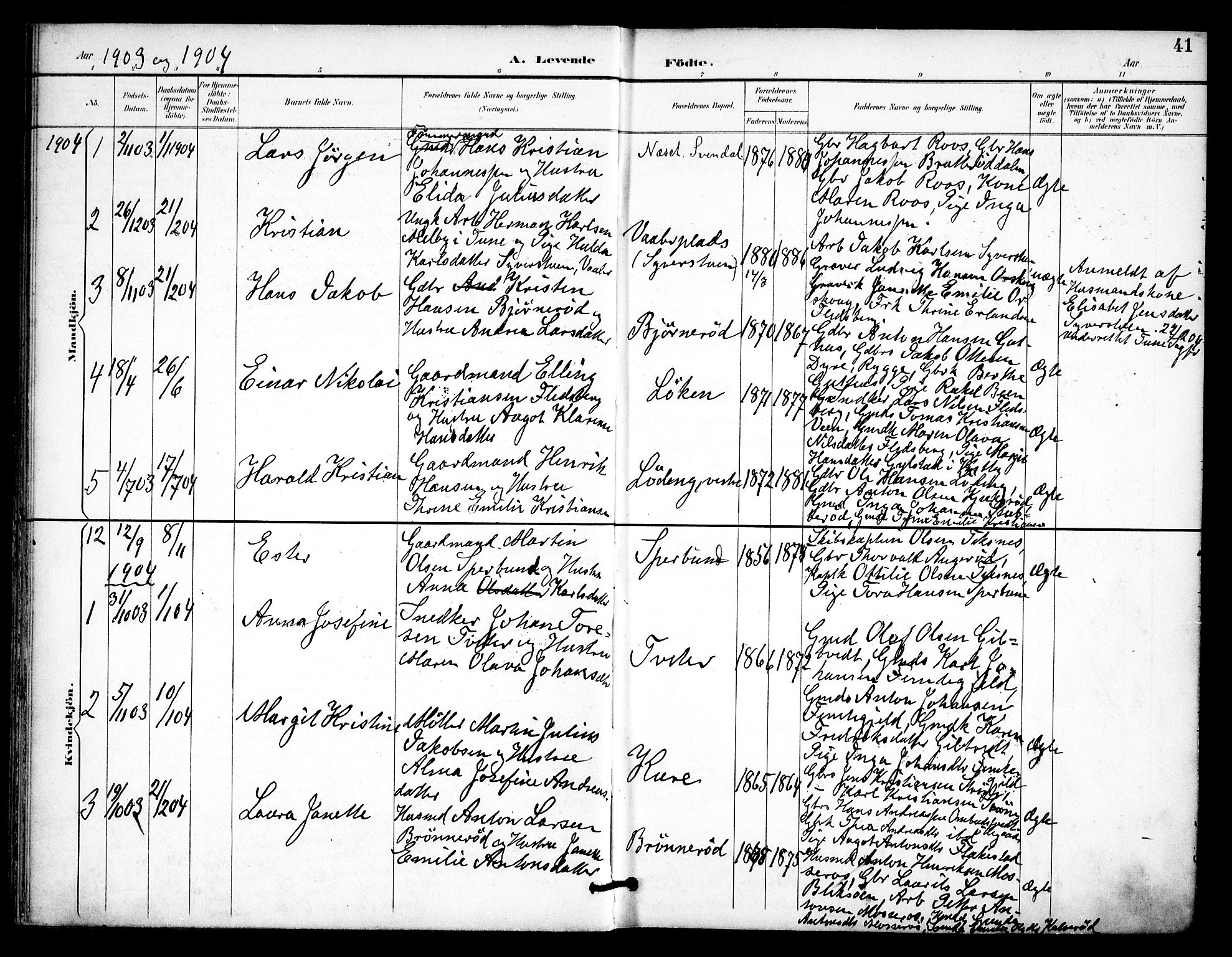 Våler prestekontor Kirkebøker, AV/SAO-A-11083/F/Fa/L0011: Parish register (official) no. I 11, 1893-1909, p. 41