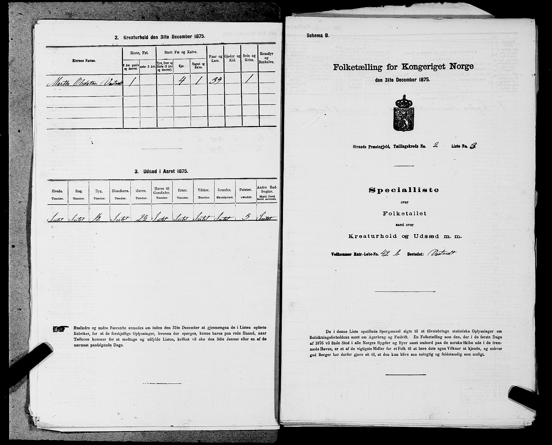 SAST, 1875 census for 1130P Strand, 1875, p. 164