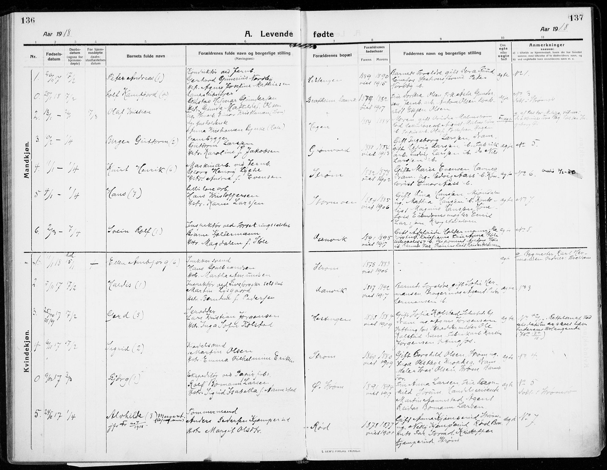 Strømsgodset kirkebøker, AV/SAKO-A-324/F/Fa/L0002: Parish register (official) no. 2, 1910-1920, p. 136-137