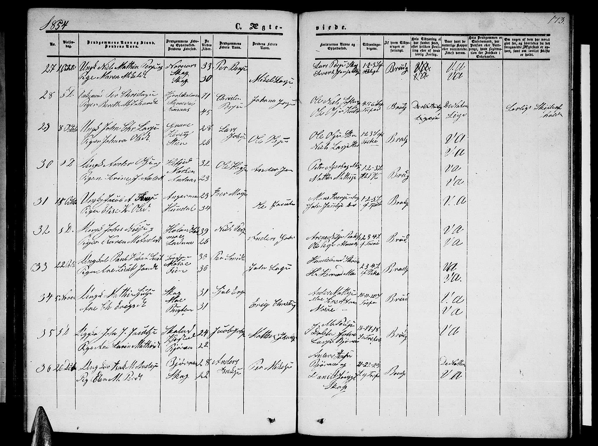 Ministerialprotokoller, klokkerbøker og fødselsregistre - Nordland, AV/SAT-A-1459/820/L0301: Parish register (copy) no. 820C03, 1851-1858, p. 173