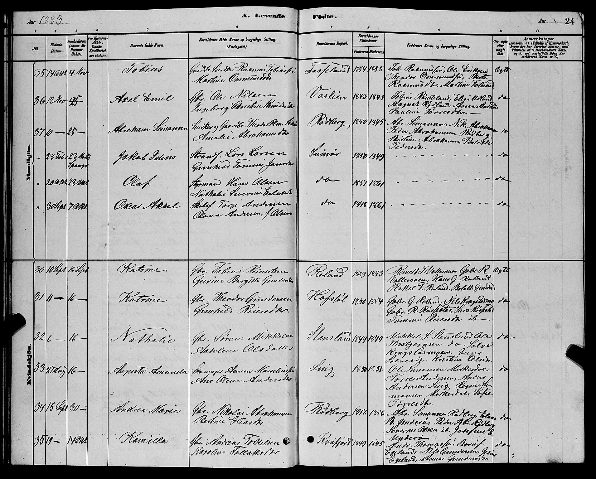 Sør-Audnedal sokneprestkontor, AV/SAK-1111-0039/F/Fb/Fbb/L0005: Parish register (copy) no. B 5, 1880-1892, p. 24