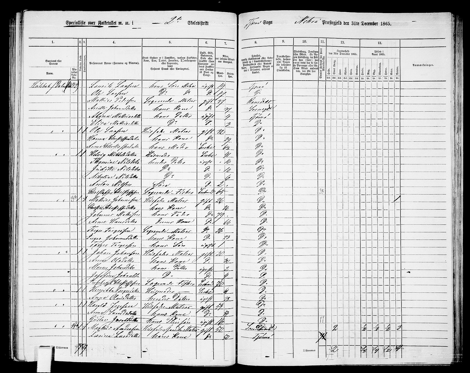 RA, 1865 census for Nøtterøy, 1865, p. 250