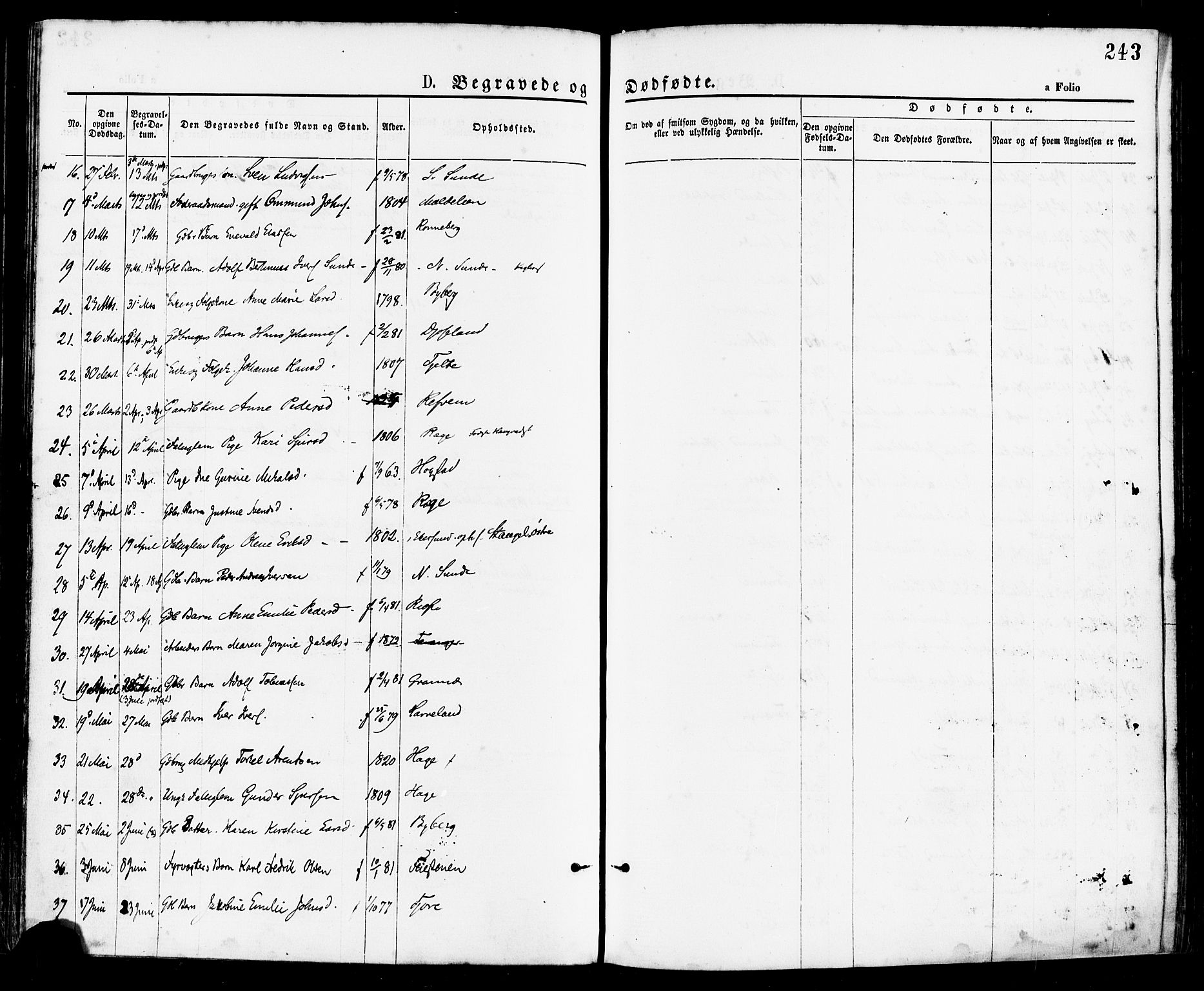 Håland sokneprestkontor, AV/SAST-A-101802/001/30BA/L0009: Parish register (official) no. A 8, 1871-1882, p. 243