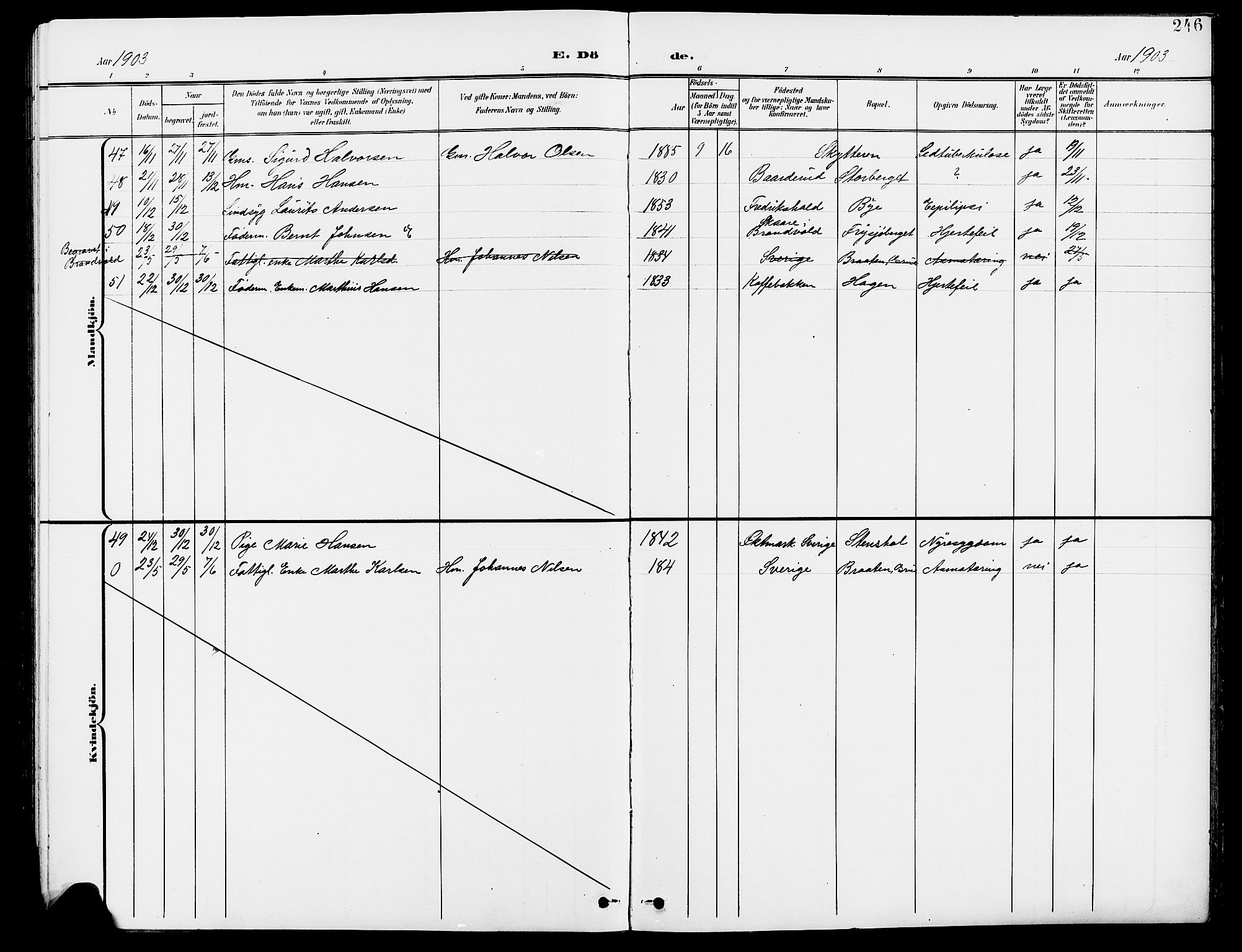 Grue prestekontor, AV/SAH-PREST-036/H/Ha/Hab/L0005: Parish register (copy) no. 5, 1900-1909, p. 246