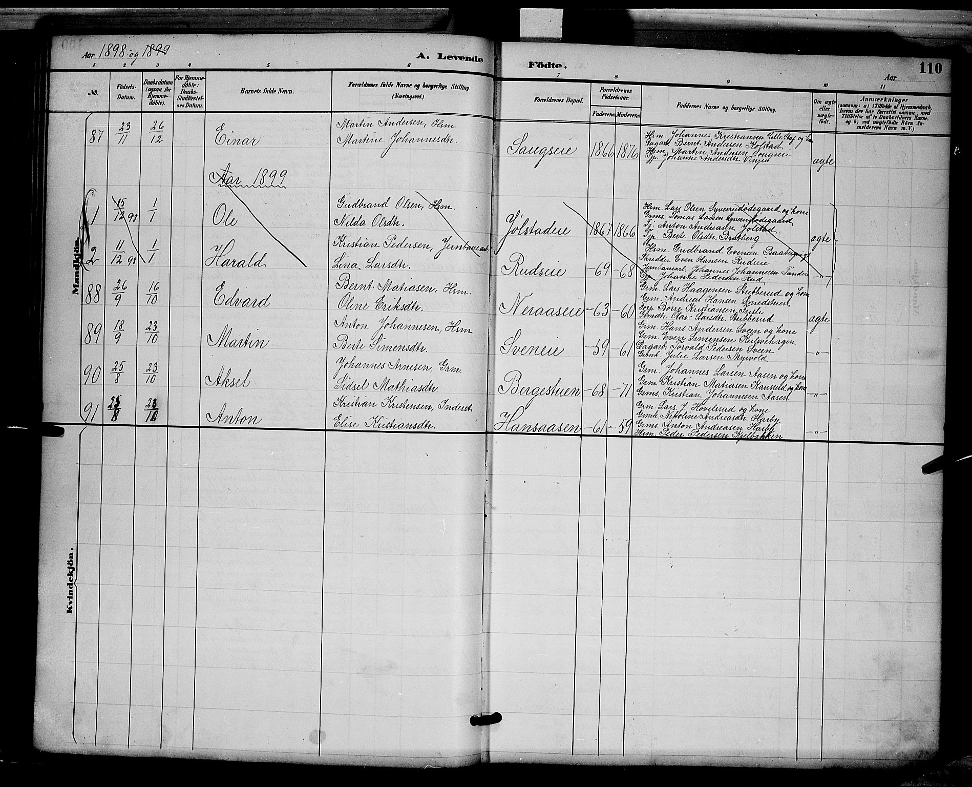 Ringsaker prestekontor, AV/SAH-PREST-014/L/La/L0012: Parish register (copy) no. 12, 1891-1902, p. 110
