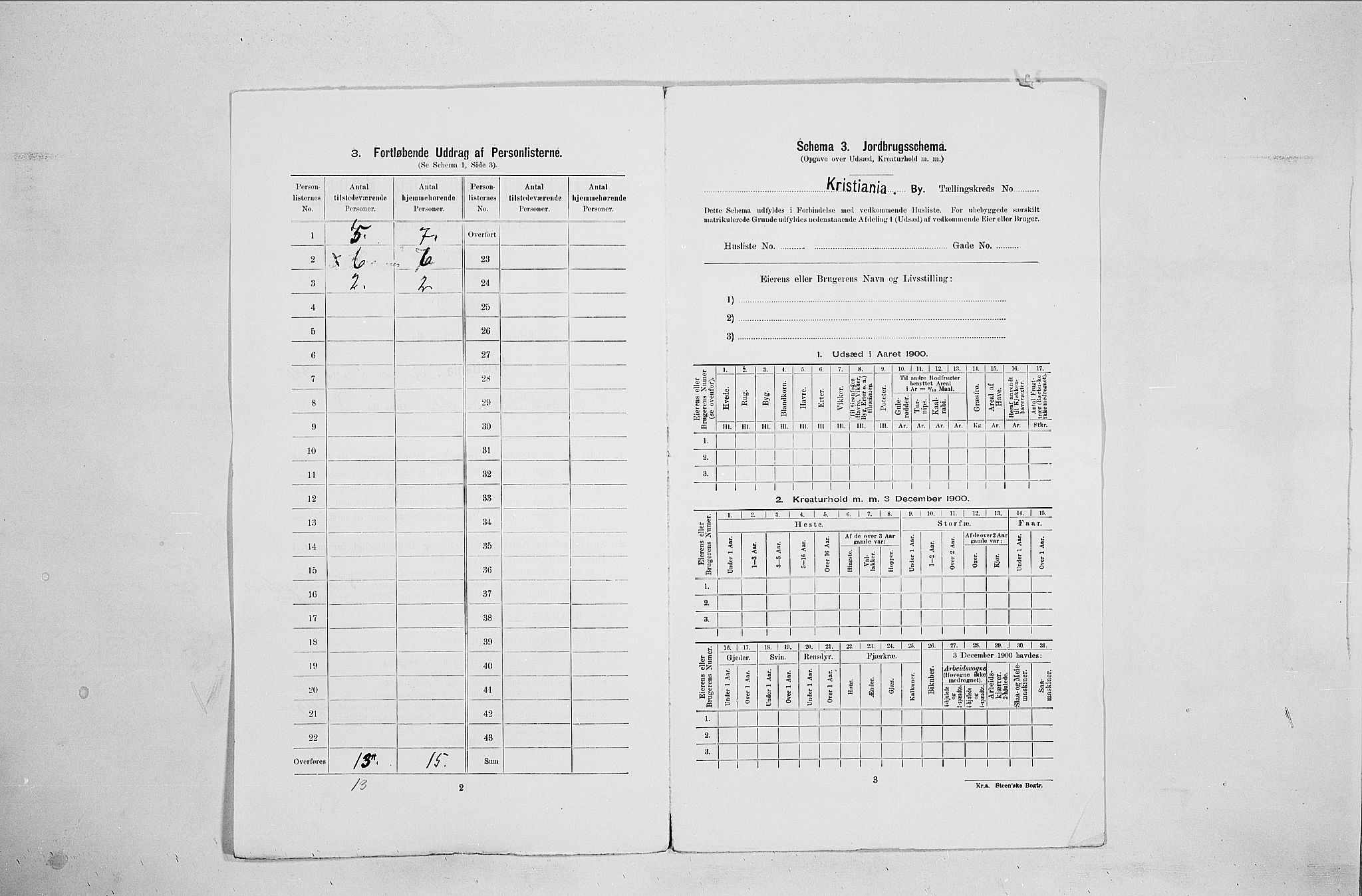 SAO, 1900 census for Kristiania, 1900, p. 42613