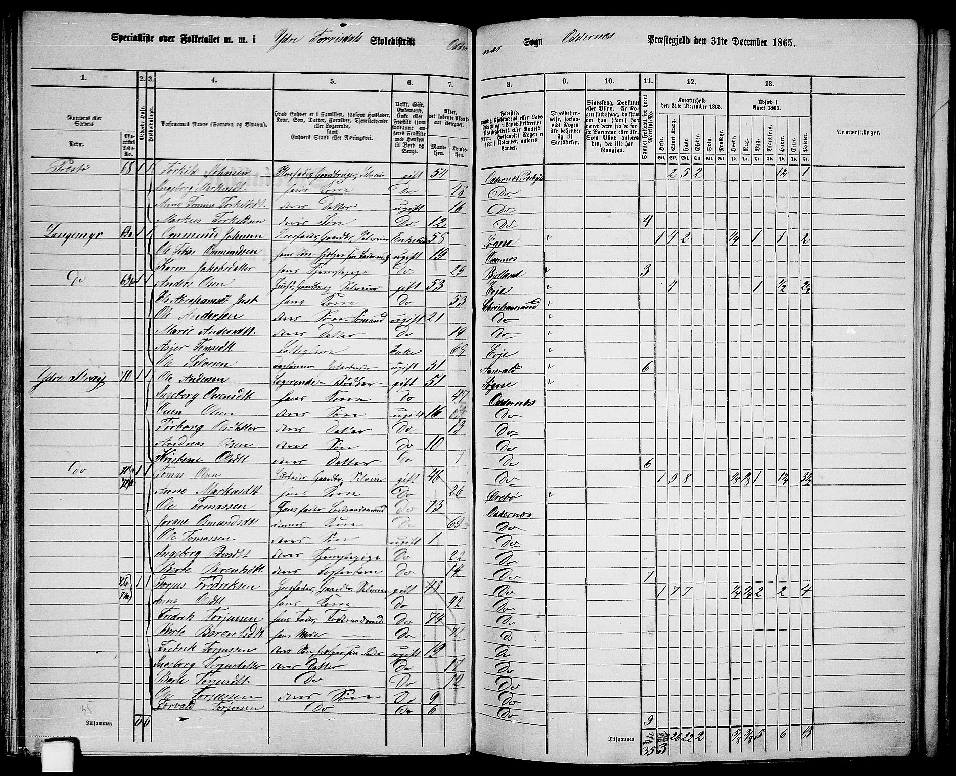 RA, 1865 census for Oddernes, 1865, p. 53