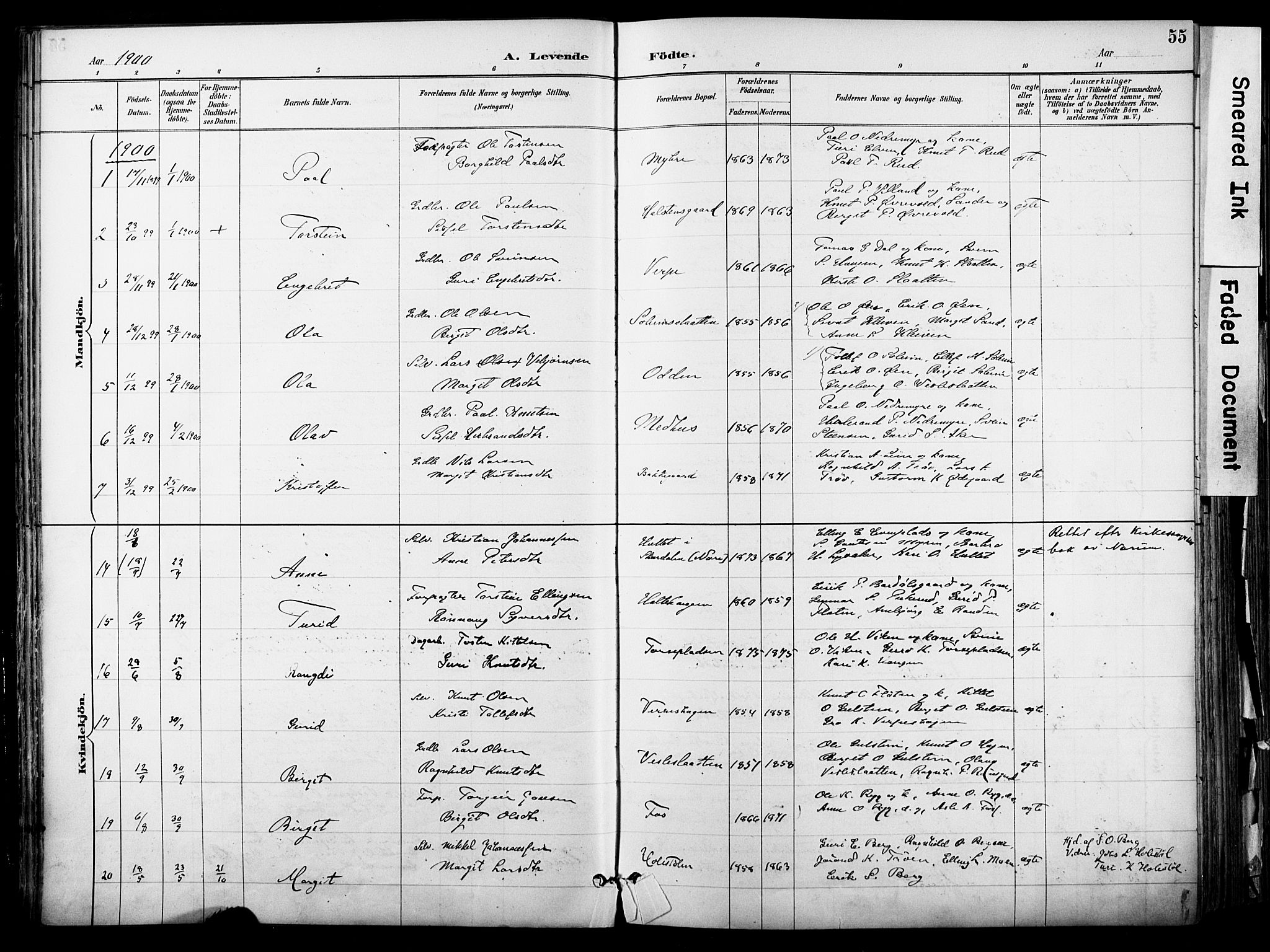 Hol kirkebøker, AV/SAKO-A-227/F/Fa/L0003: Parish register (official) no. I 3, 1887-1918, p. 55